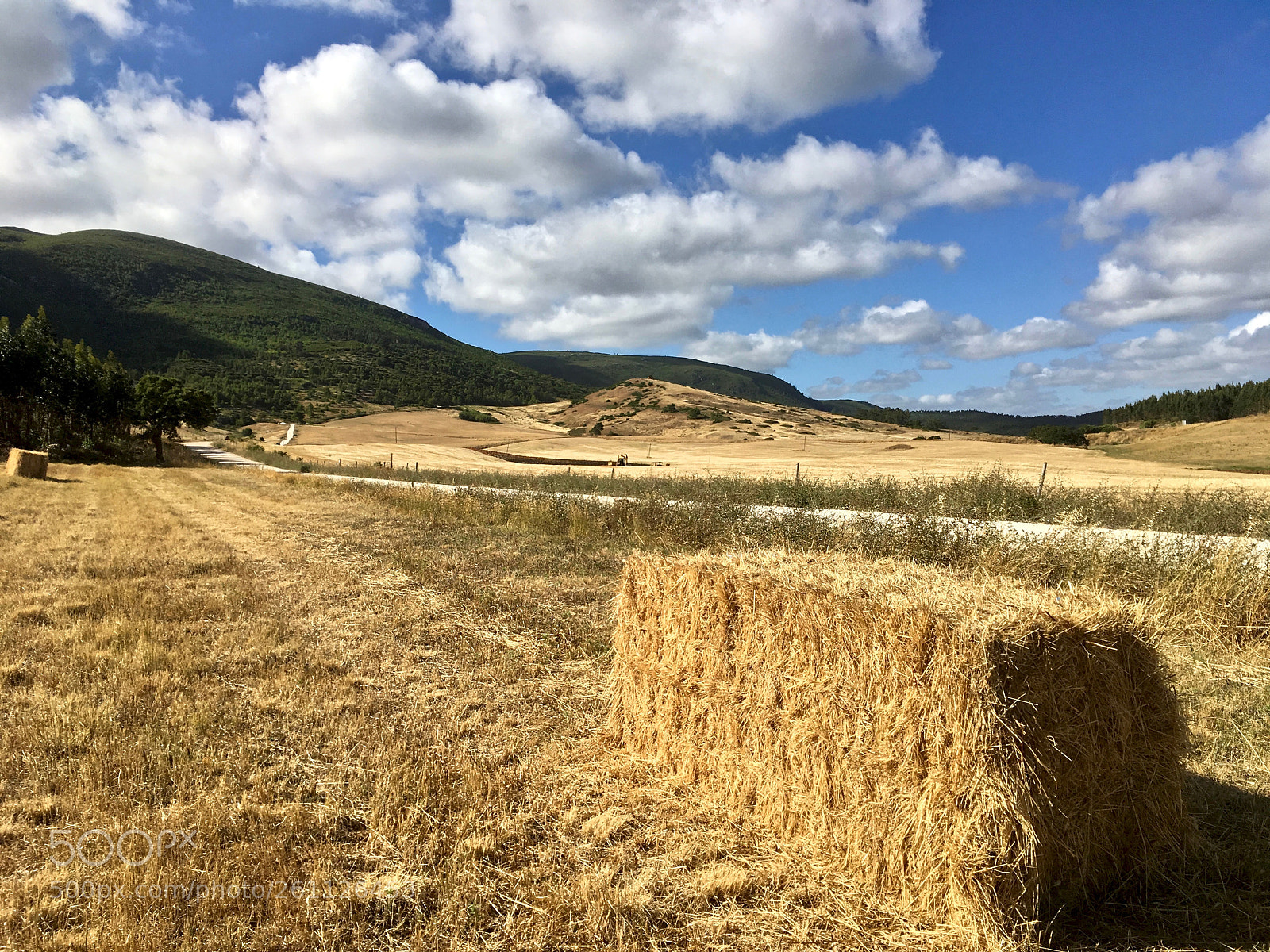 Apple iPhone SE sample photo. Landscapes (img_0882(1)) photography