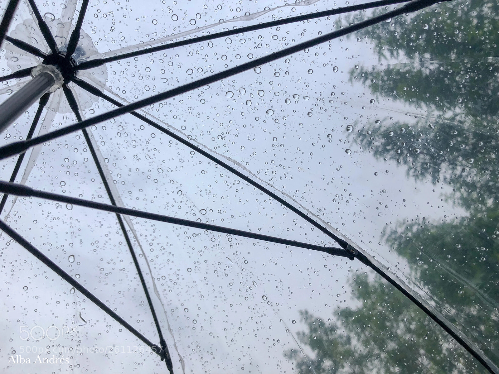 Apple iPhone 8 Plus sample photo. 49 52 el ruido photography
