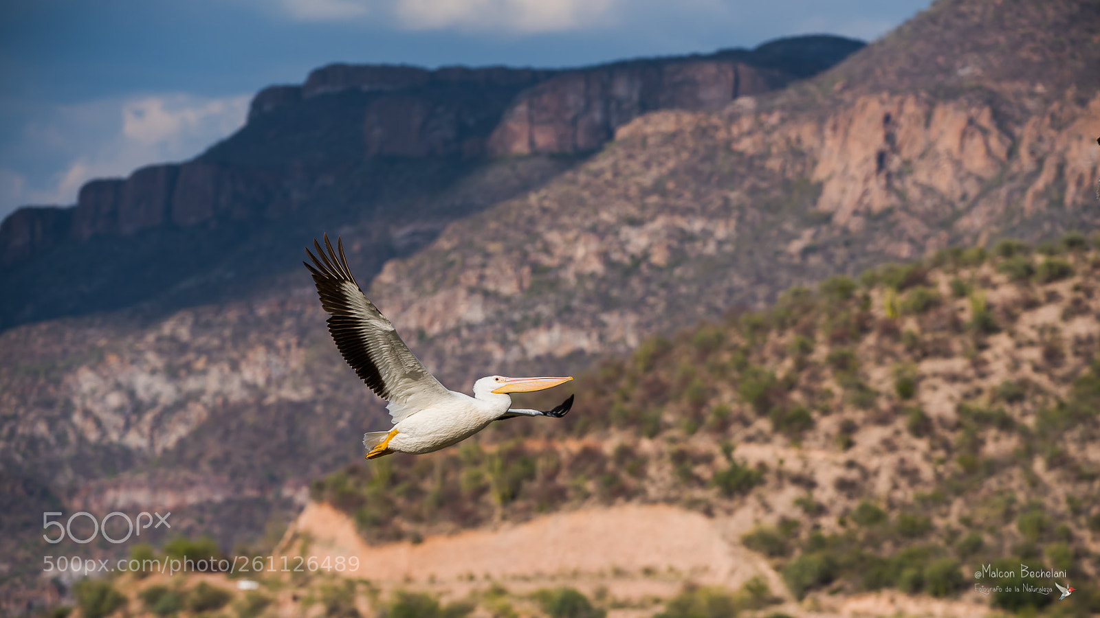 Nikon D810 sample photo. Mbs photography