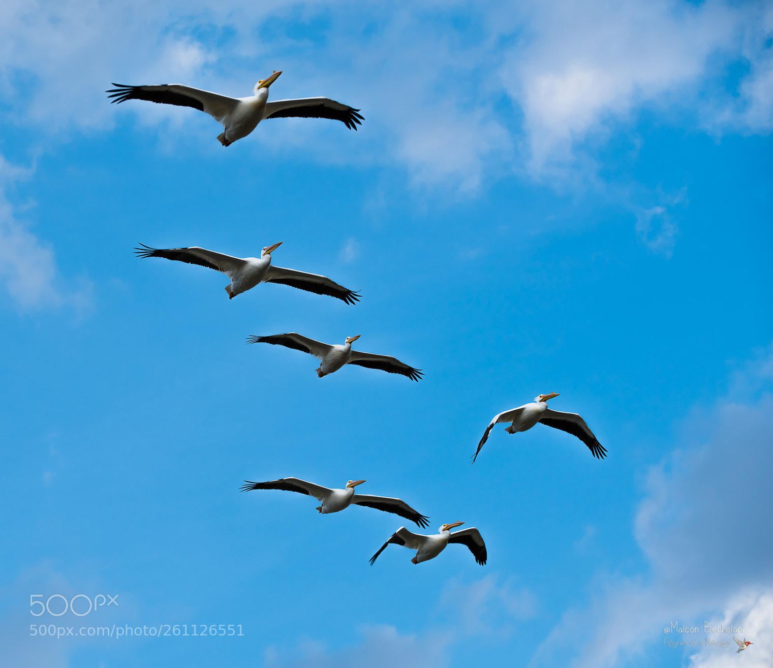 Nikon D810 sample photo. Mbs photography