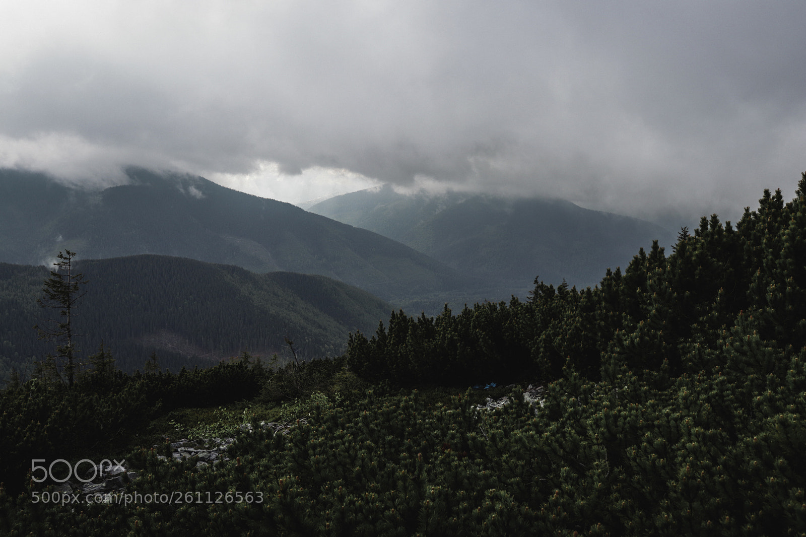 Canon EOS 77D (EOS 9000D / EOS 770D) sample photo. Storm is closer and photography