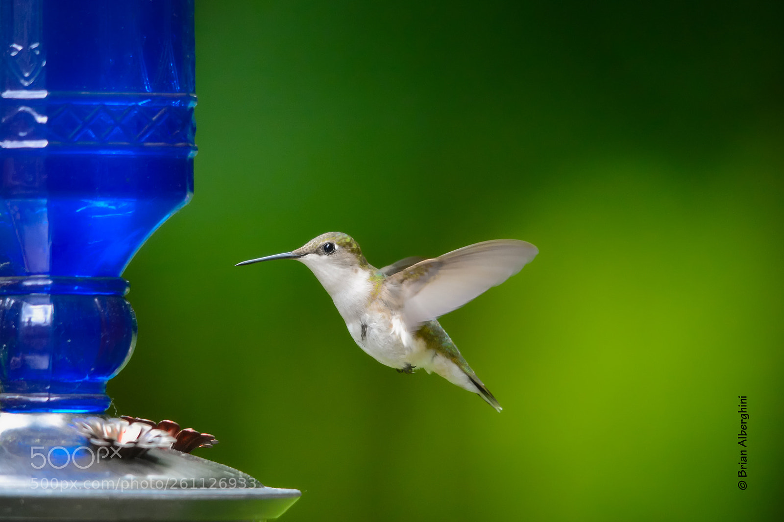Nikon D7100 sample photo. Flight photography