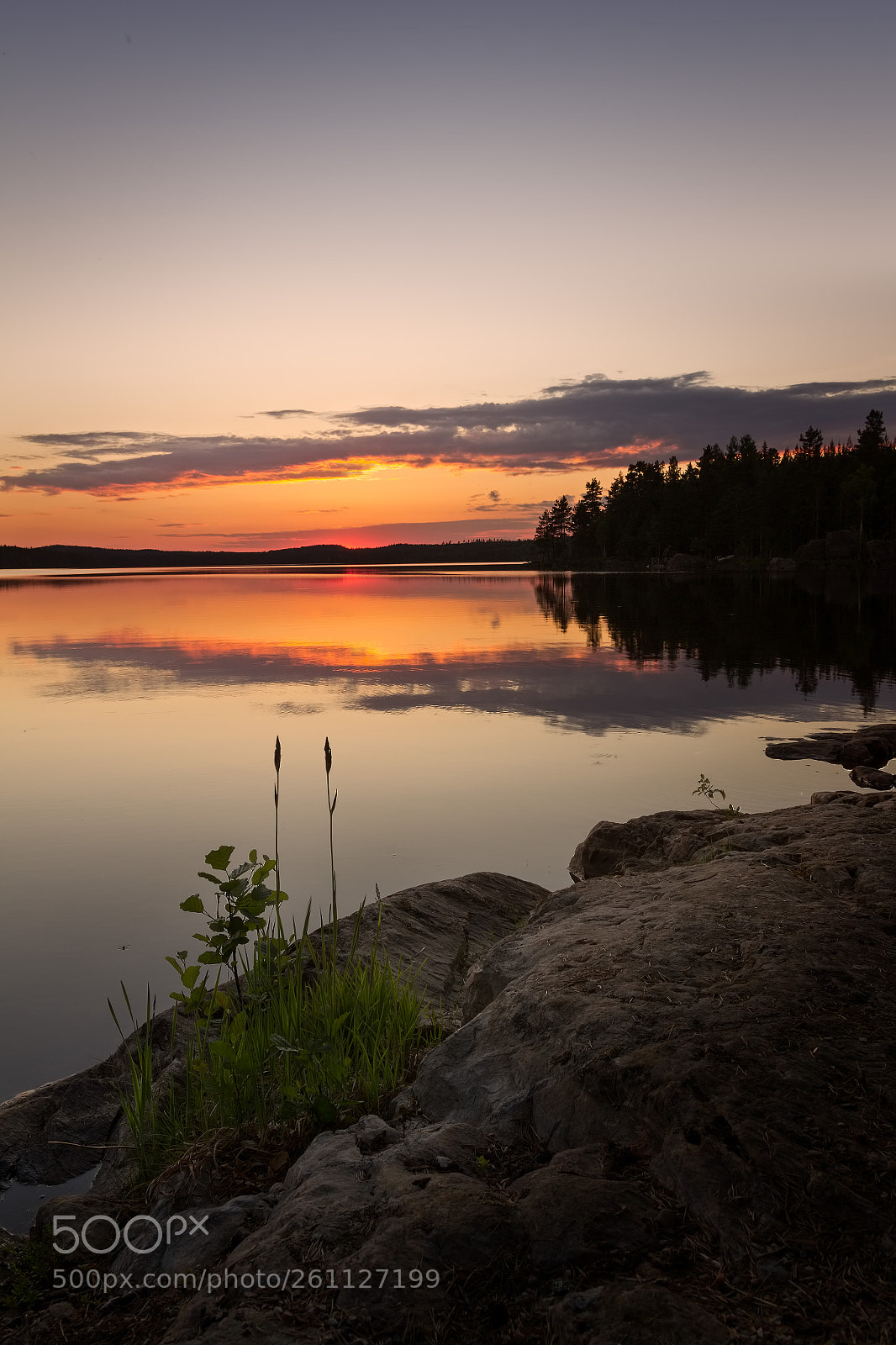 Canon EOS 60D sample photo. Sweet summer photography