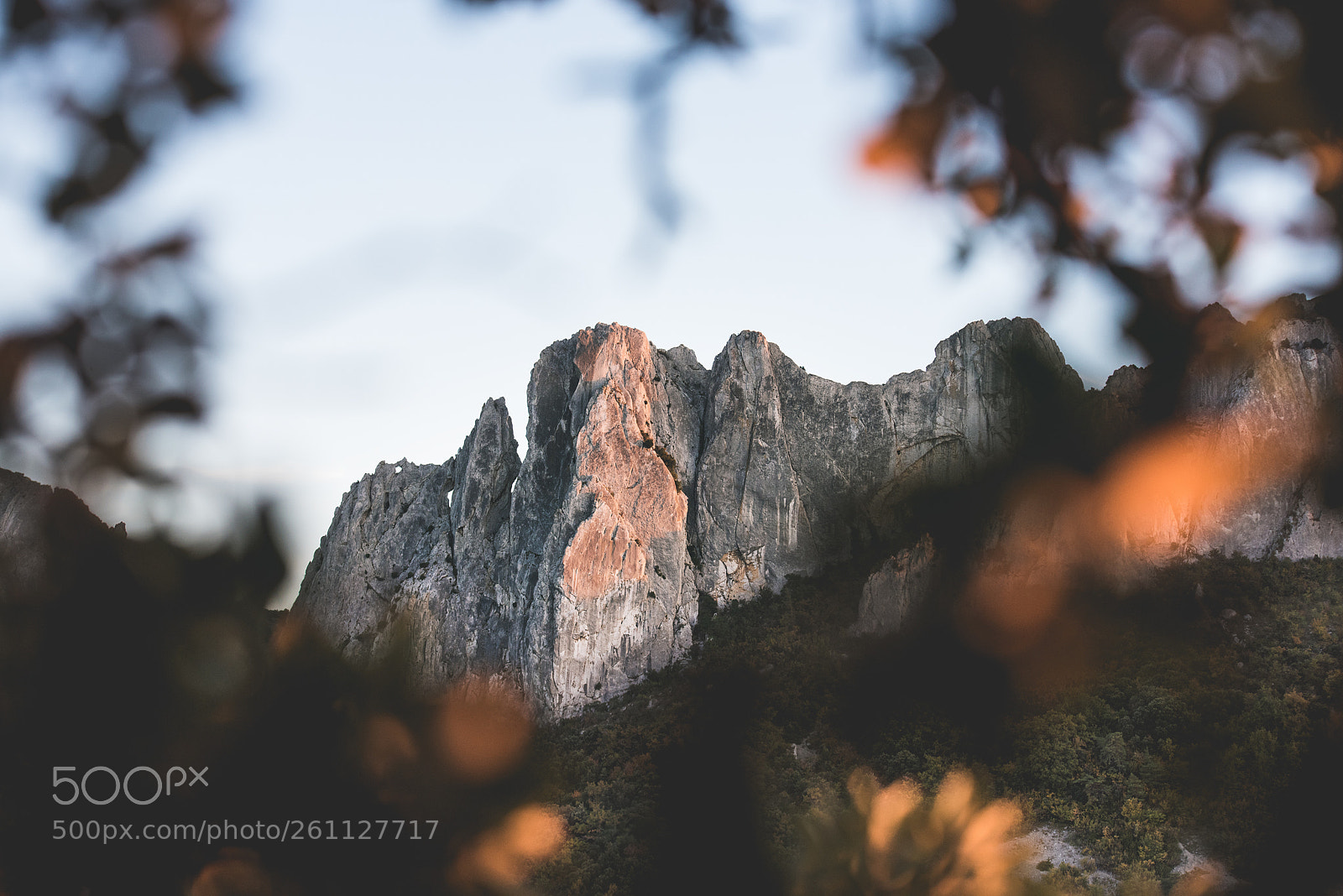 Nikon D810 sample photo. Dentelles de montmirail photography