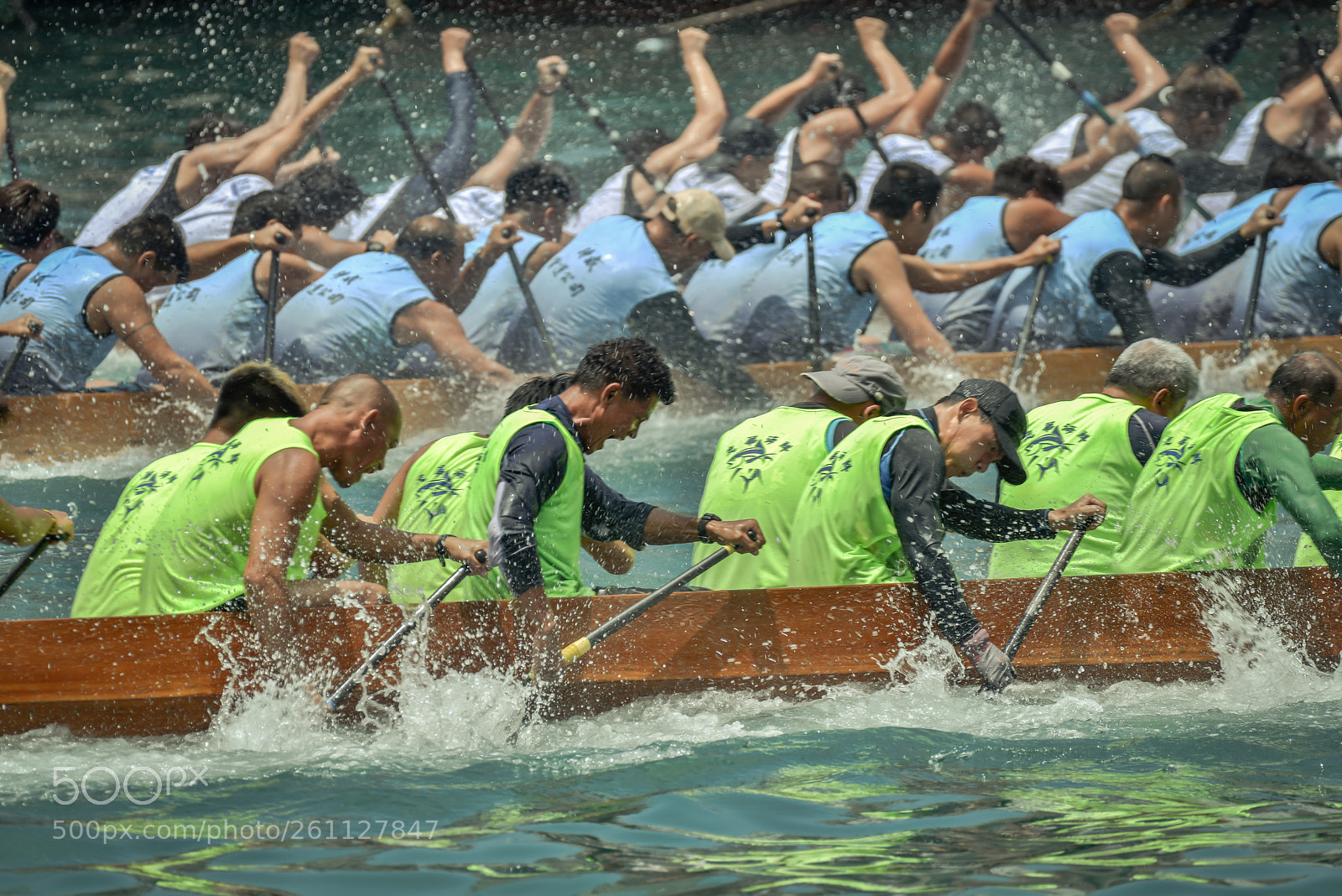 Nikon D800E sample photo. Dragon boat races in photography