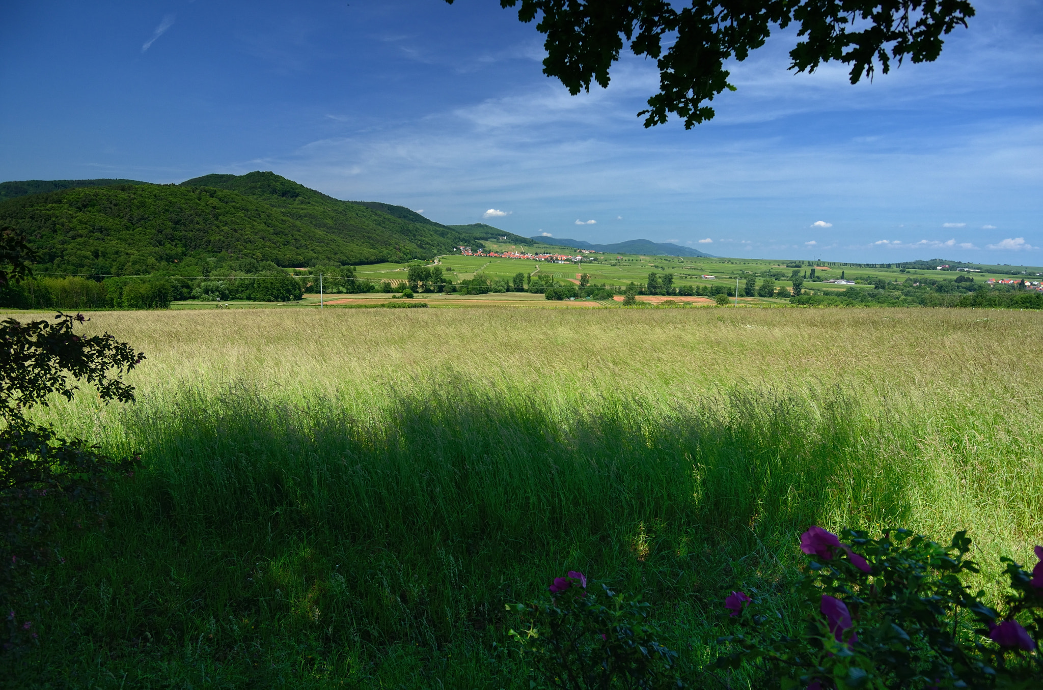 Nikon D7000 sample photo. In the shadow photography