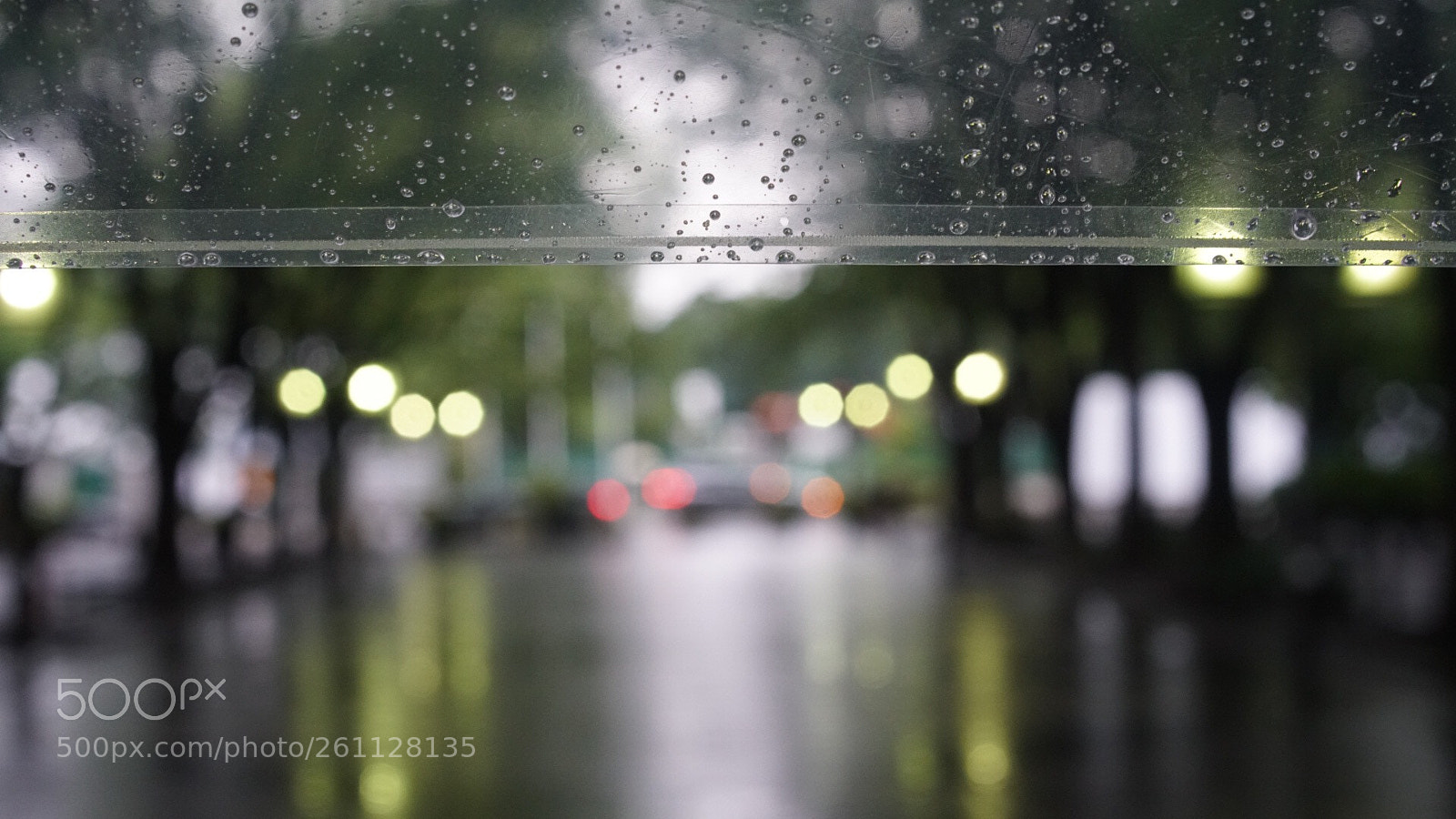 Sony a7R II sample photo. Untitled photography