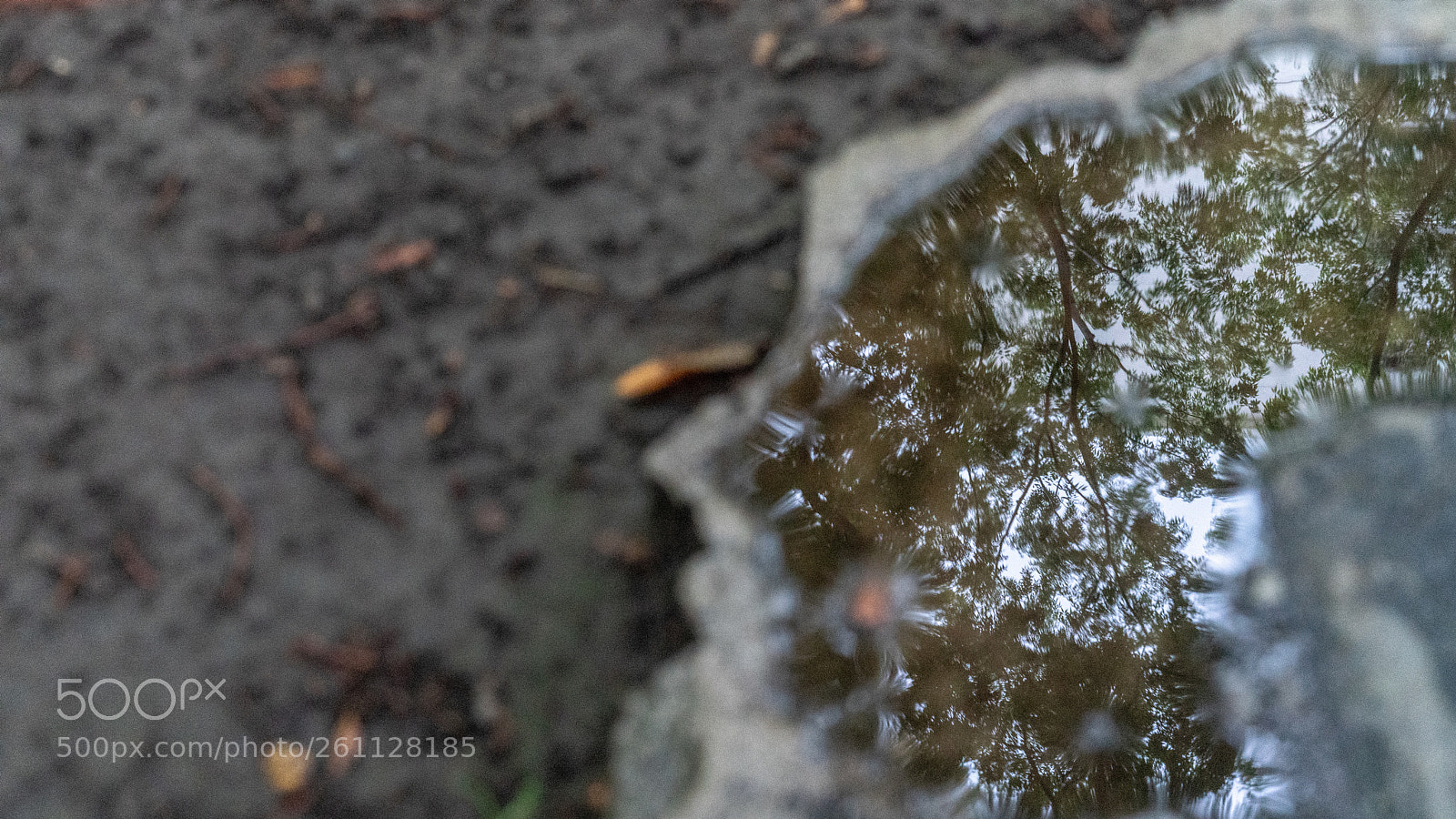 Sony a7R II sample photo. Untitled photography