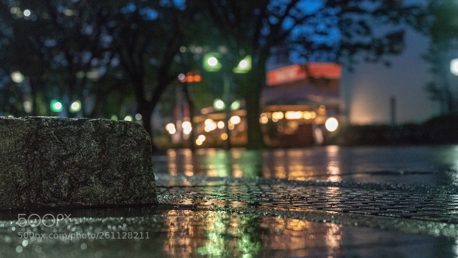 Sony a7R II sample photo. Untitled photography