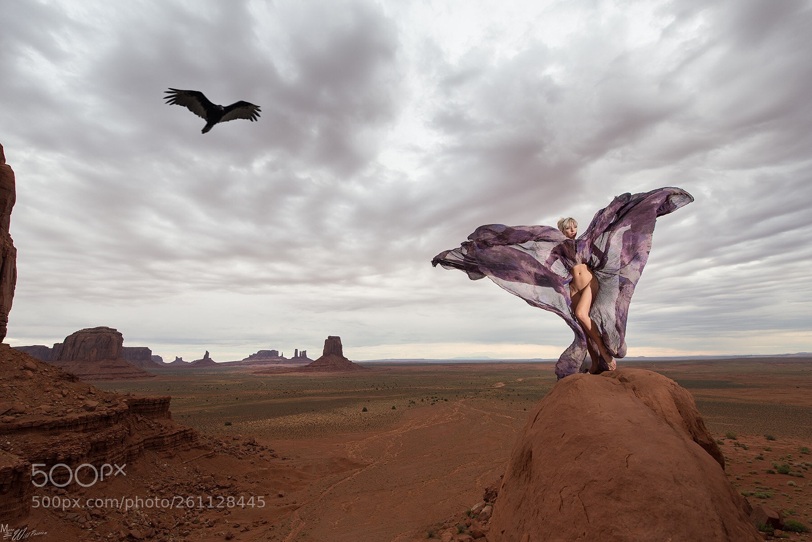 Nikon D800E sample photo. Eagle the legend of photography