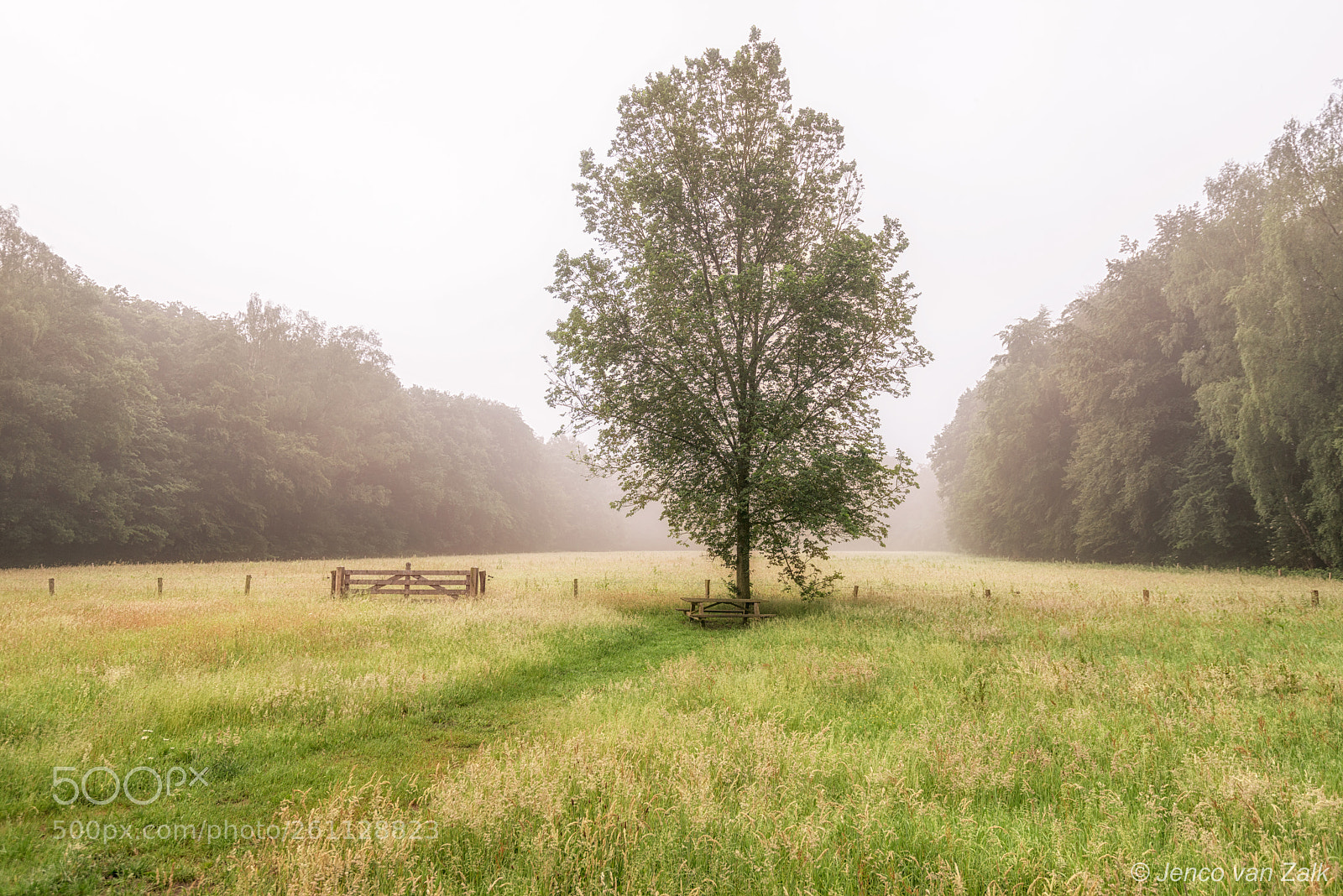 Nikon D800E sample photo. Rural photography