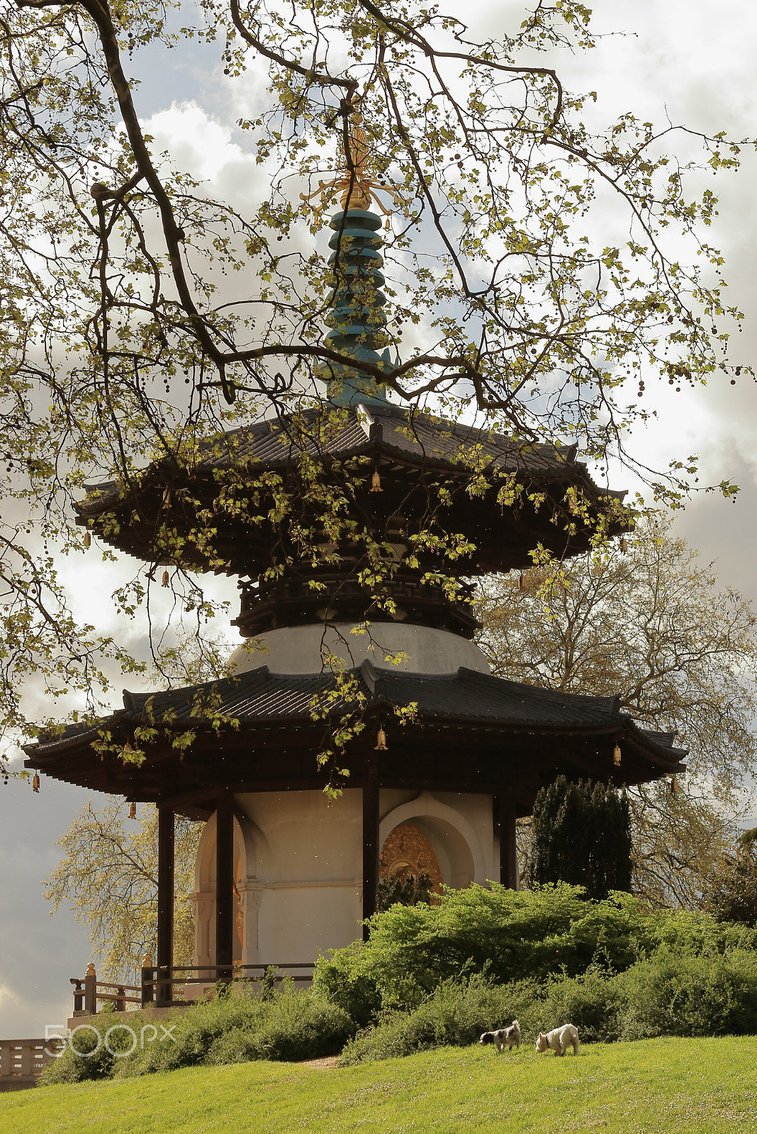 Canon EOS 800D (EOS Rebel T7i / EOS Kiss X9i) sample photo. Peace pagoda photography