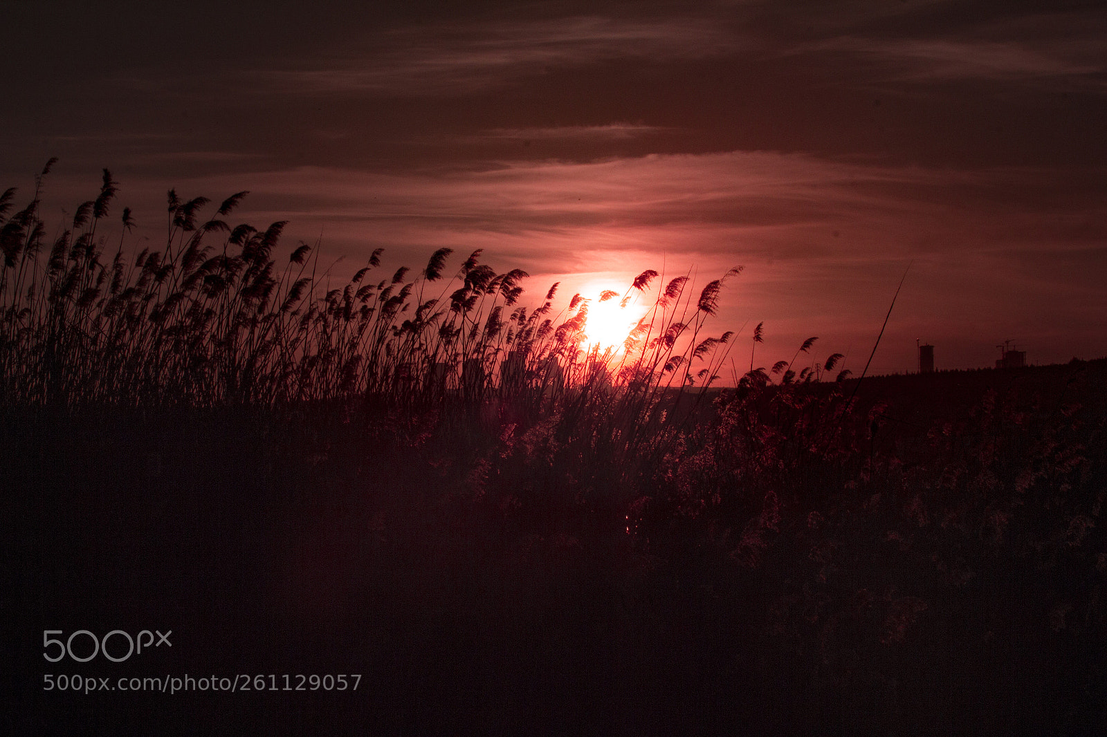 Canon EOS 60D sample photo. -sunset- photography