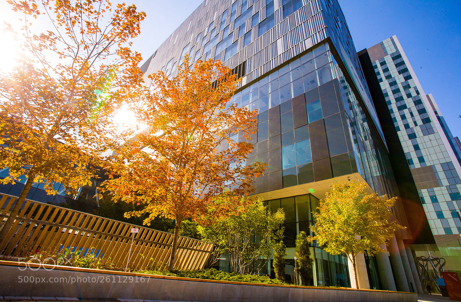 Canon EOS 5D sample photo. Autumn high rise  photography