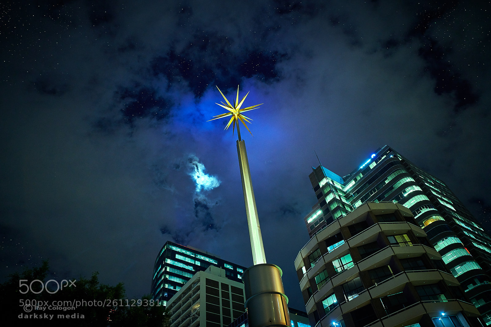 Sony a7R III sample photo. Star among stars photography