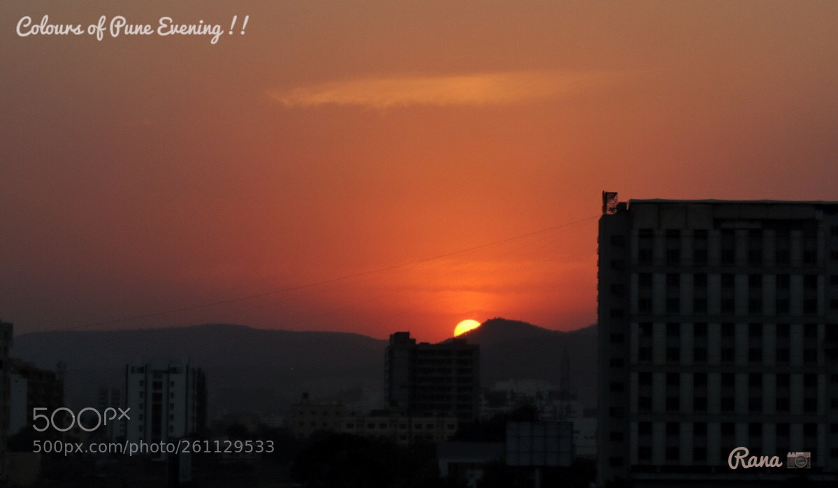 Canon EOS 80D sample photo. Untitled photography