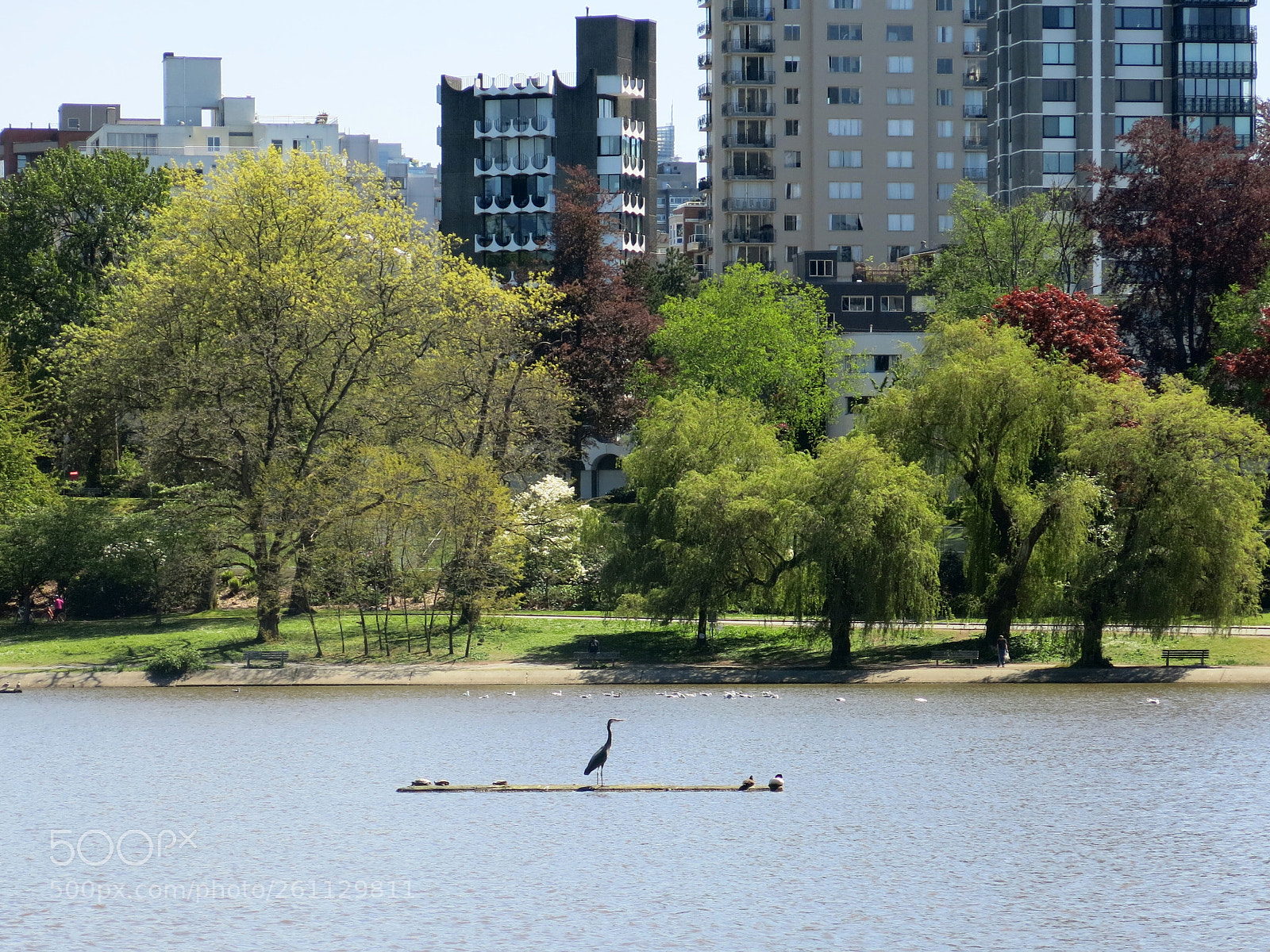 Canon PowerShot G15 sample photo. Lost lagoon photography