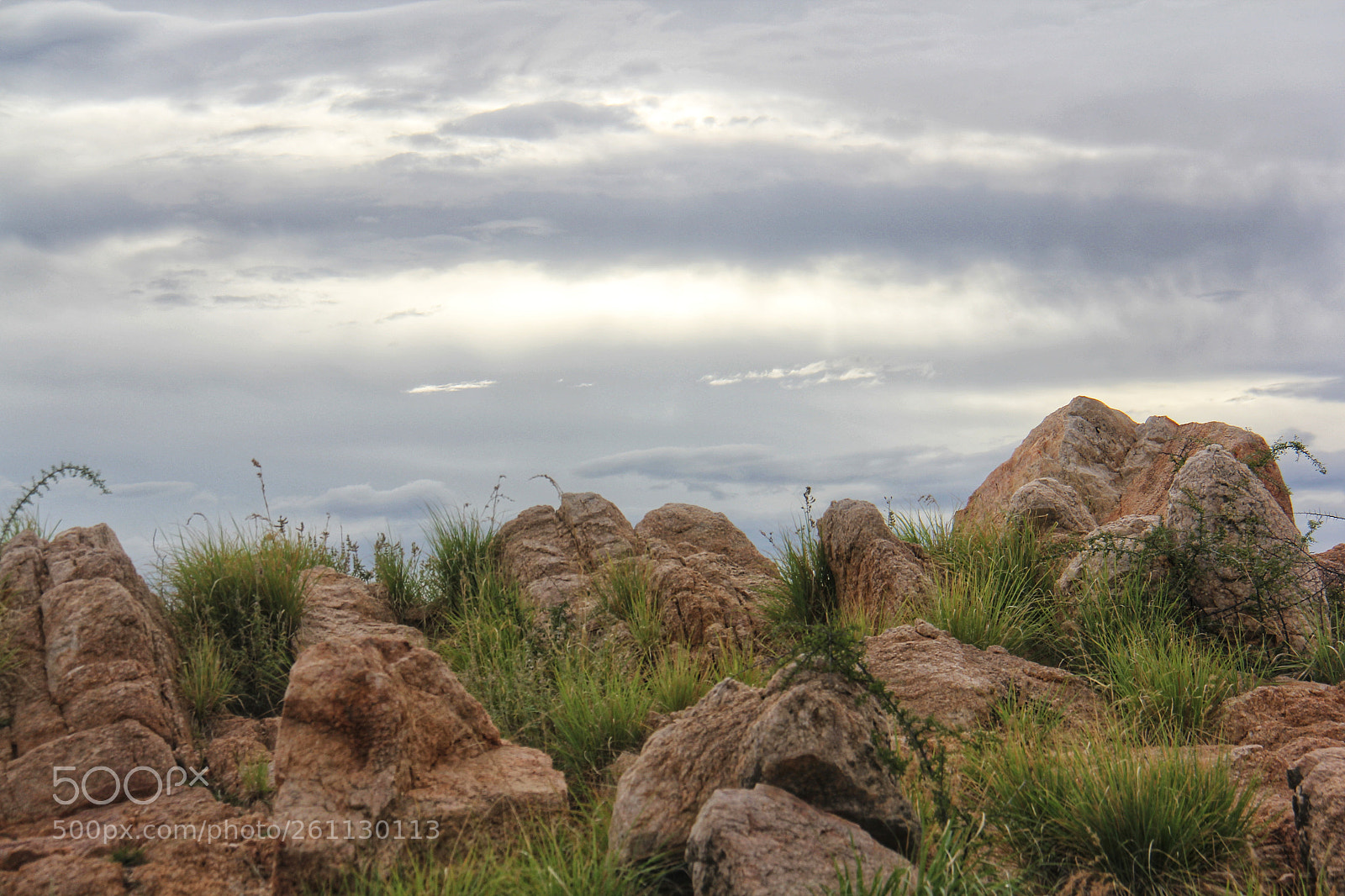 Canon EOS 60D sample photo. Untitled photography