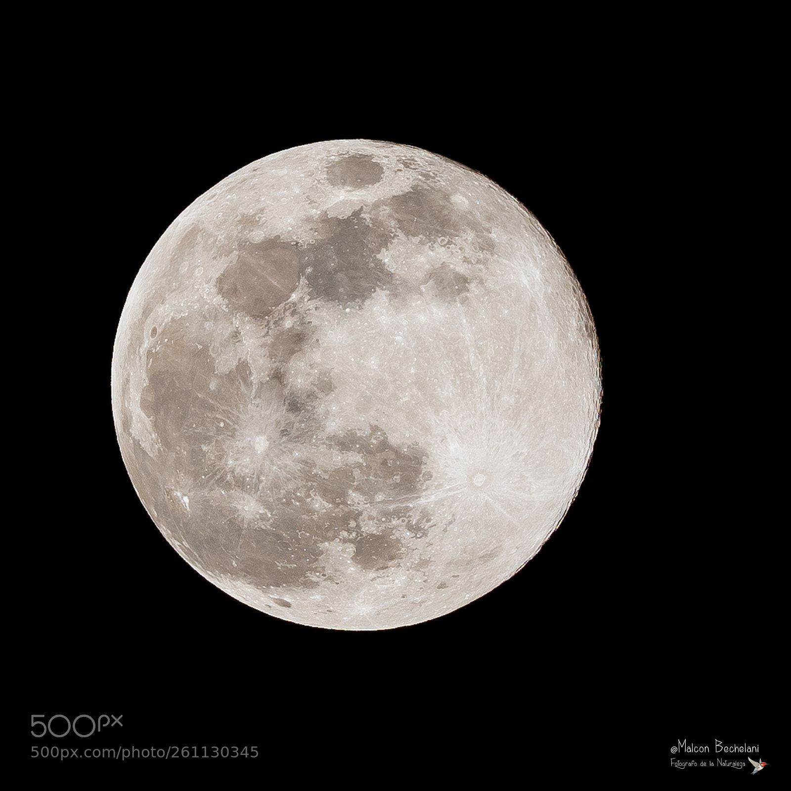 Nikon D810 sample photo. Mbs_0446-2.jpg photography