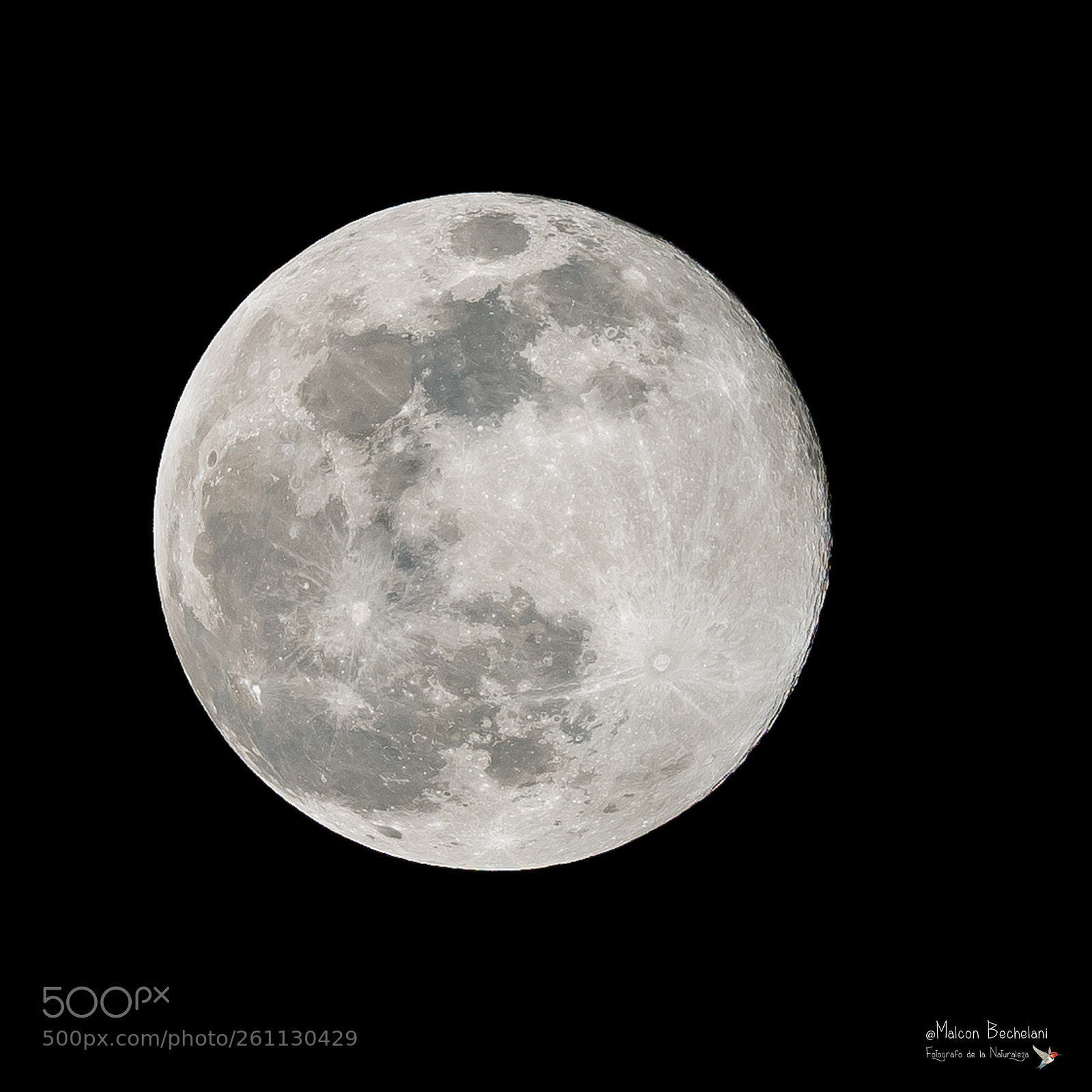 Nikon D810 sample photo. Mbs_0446-3.jpg photography