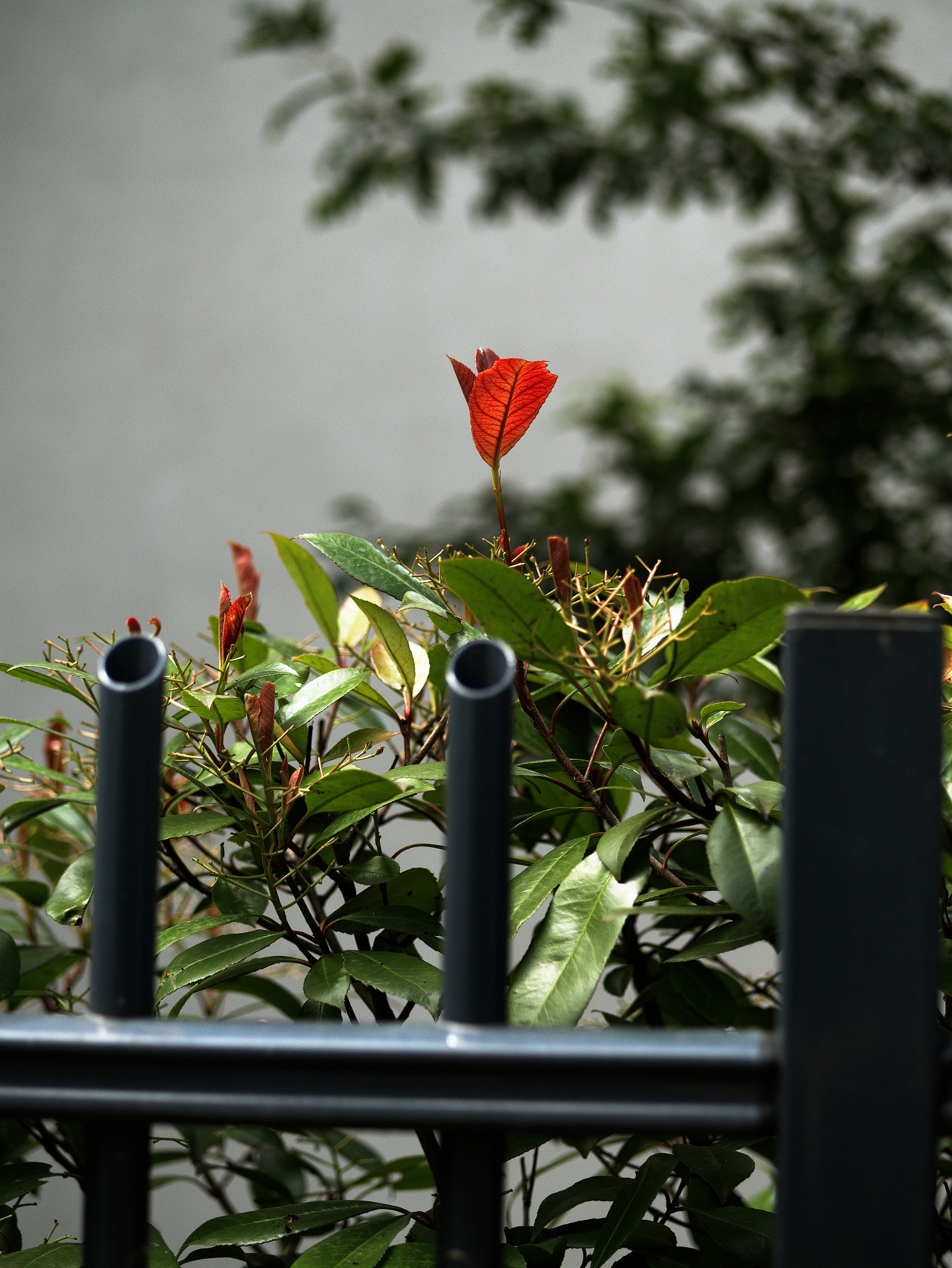 Panasonic Lumix DC-GX9 sample photo. Passage photography