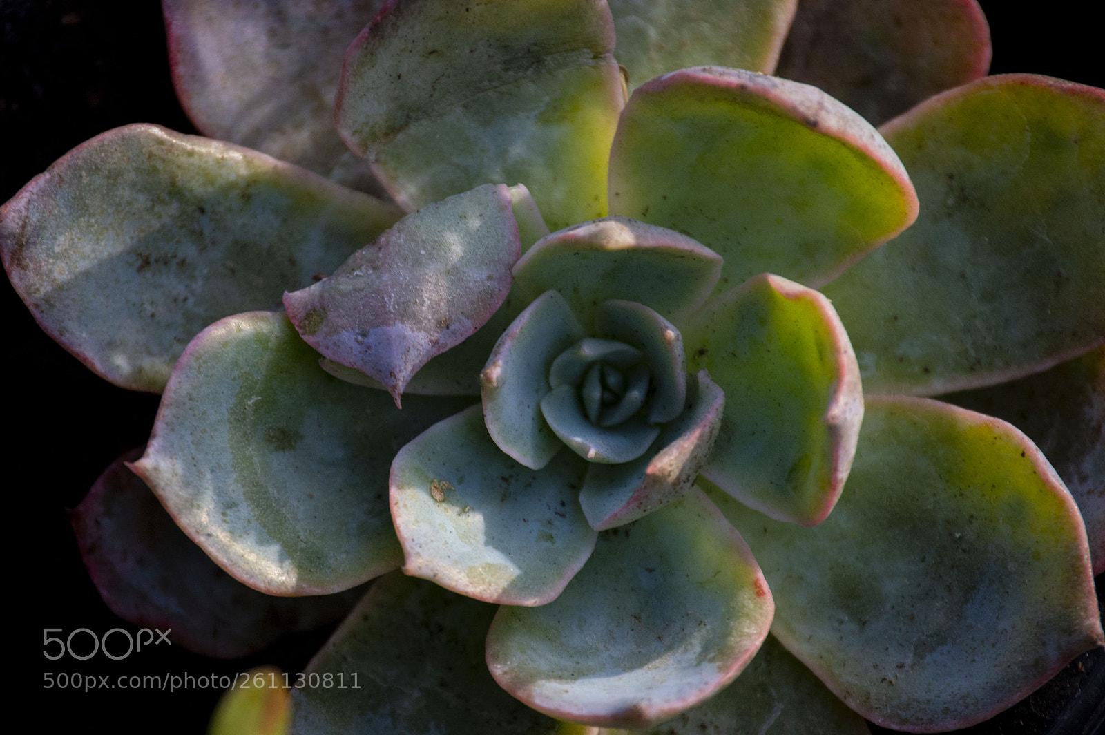 Nikon D3200 sample photo. V photography