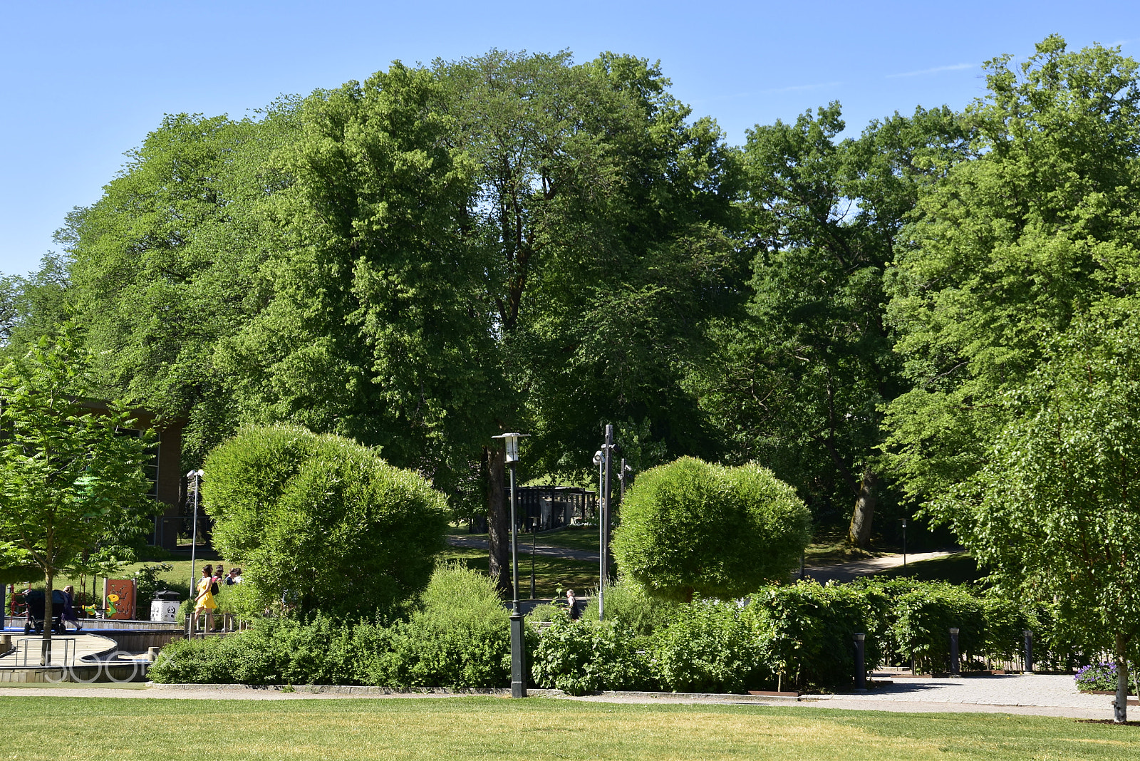 Nikon D5500 sample photo. Stadsparken_07 photography