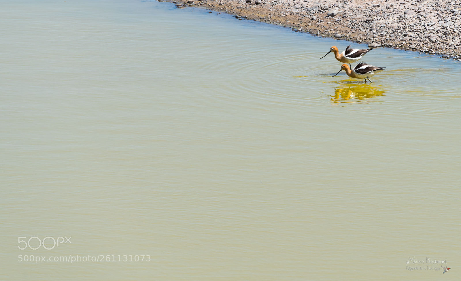 Nikon D810 sample photo. Mbs photography