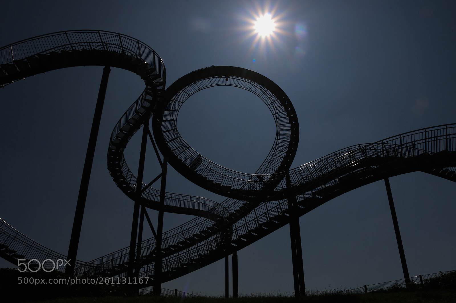 Canon EOS 70D sample photo. Tiger &turtle photography
