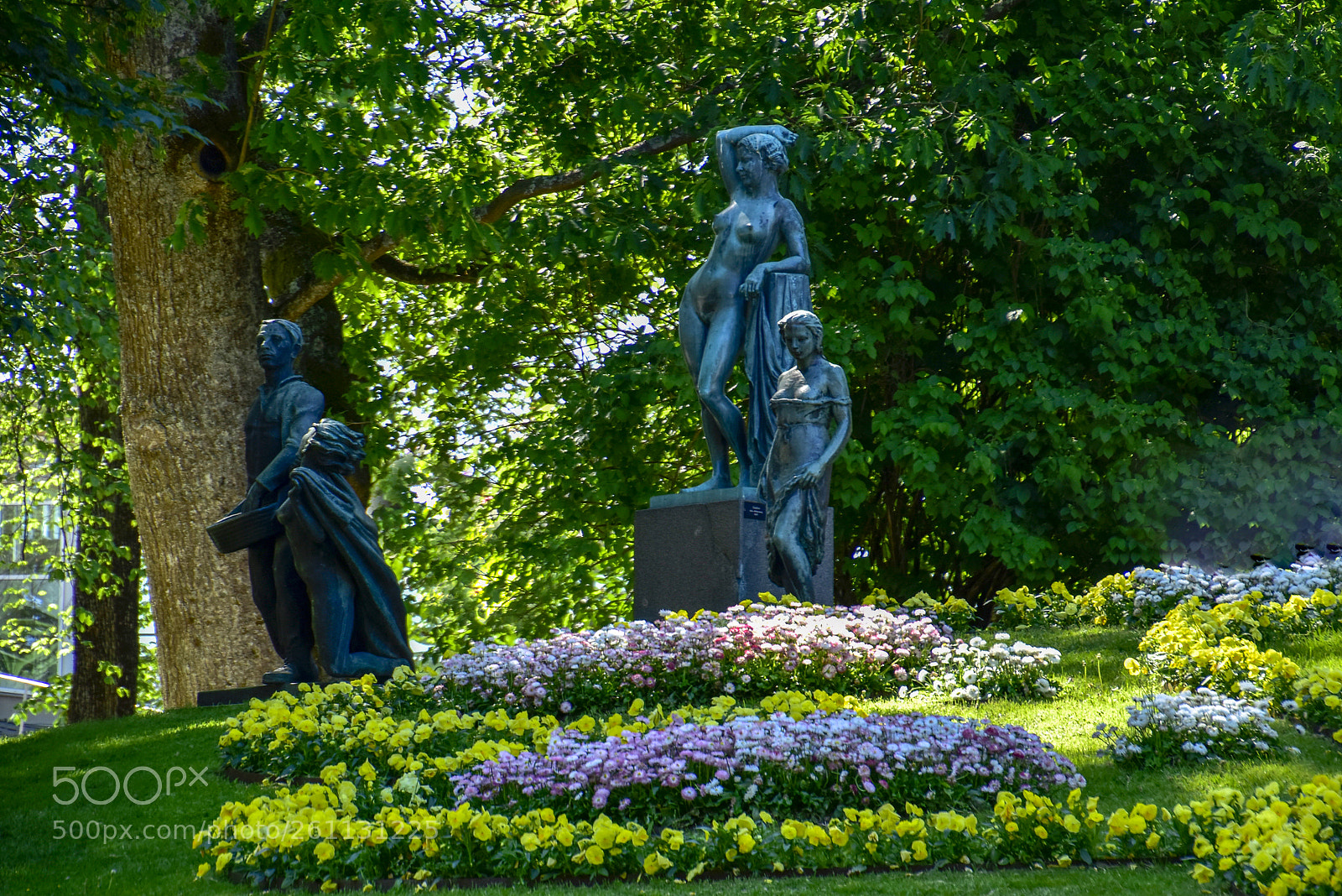 Nikon D5500 sample photo. Stadsparken_08 photography