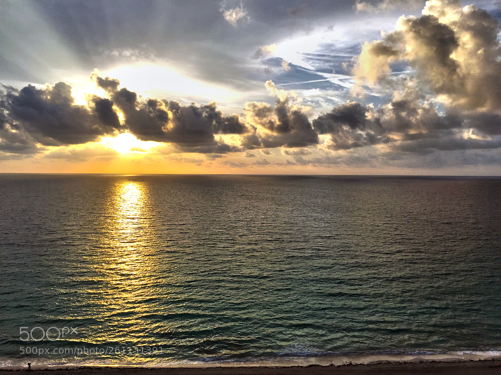 Apple iPhone 6 sample photo. Rays photography