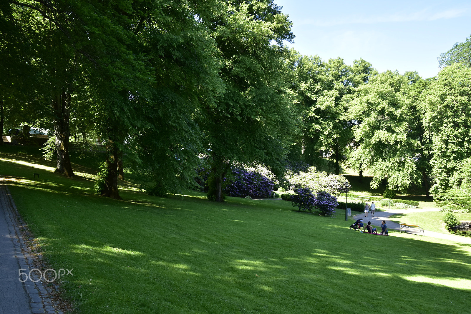 Nikon D5500 sample photo. Stadsparken_09 photography
