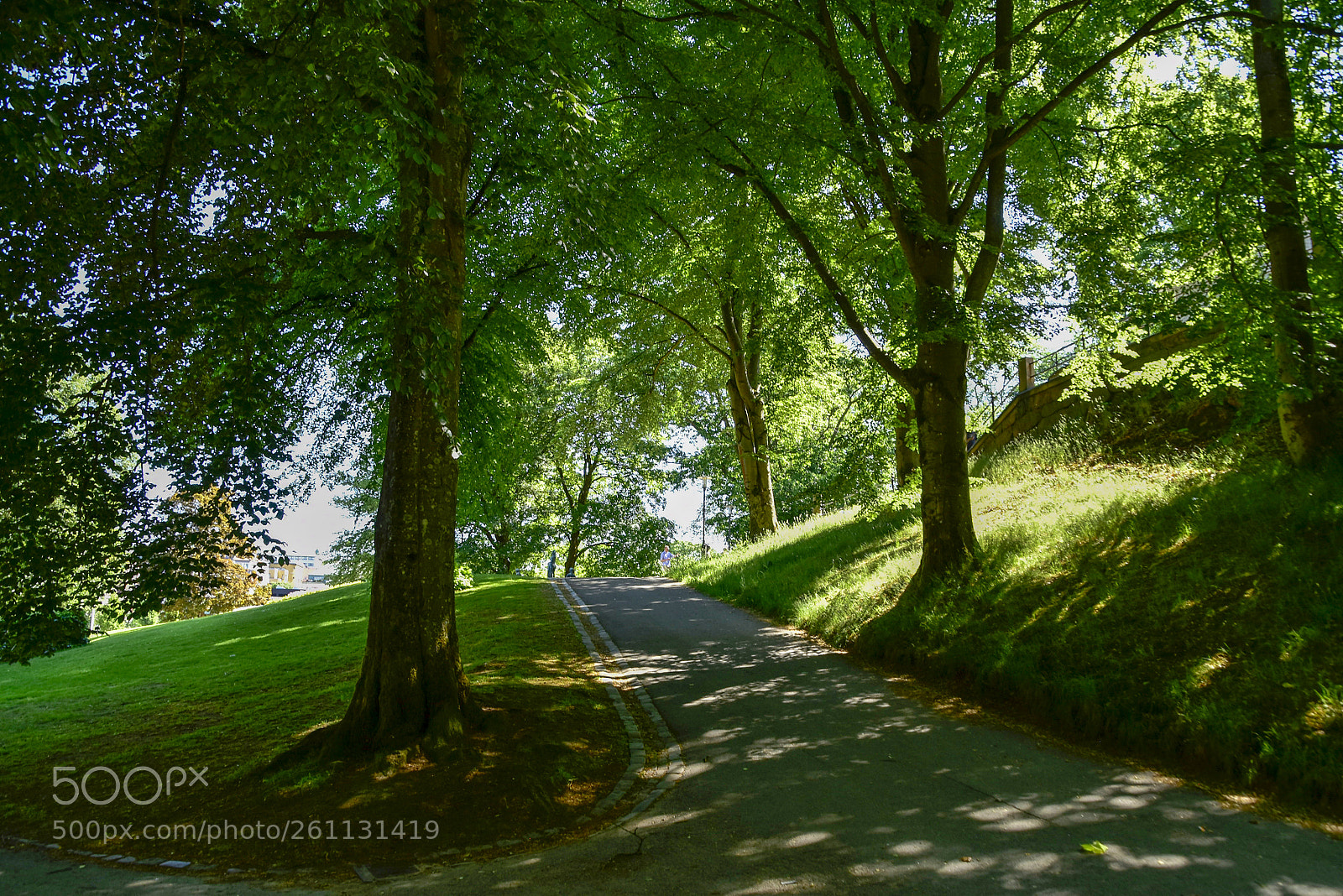 Nikon D5500 sample photo. Stadsparken_10 photography