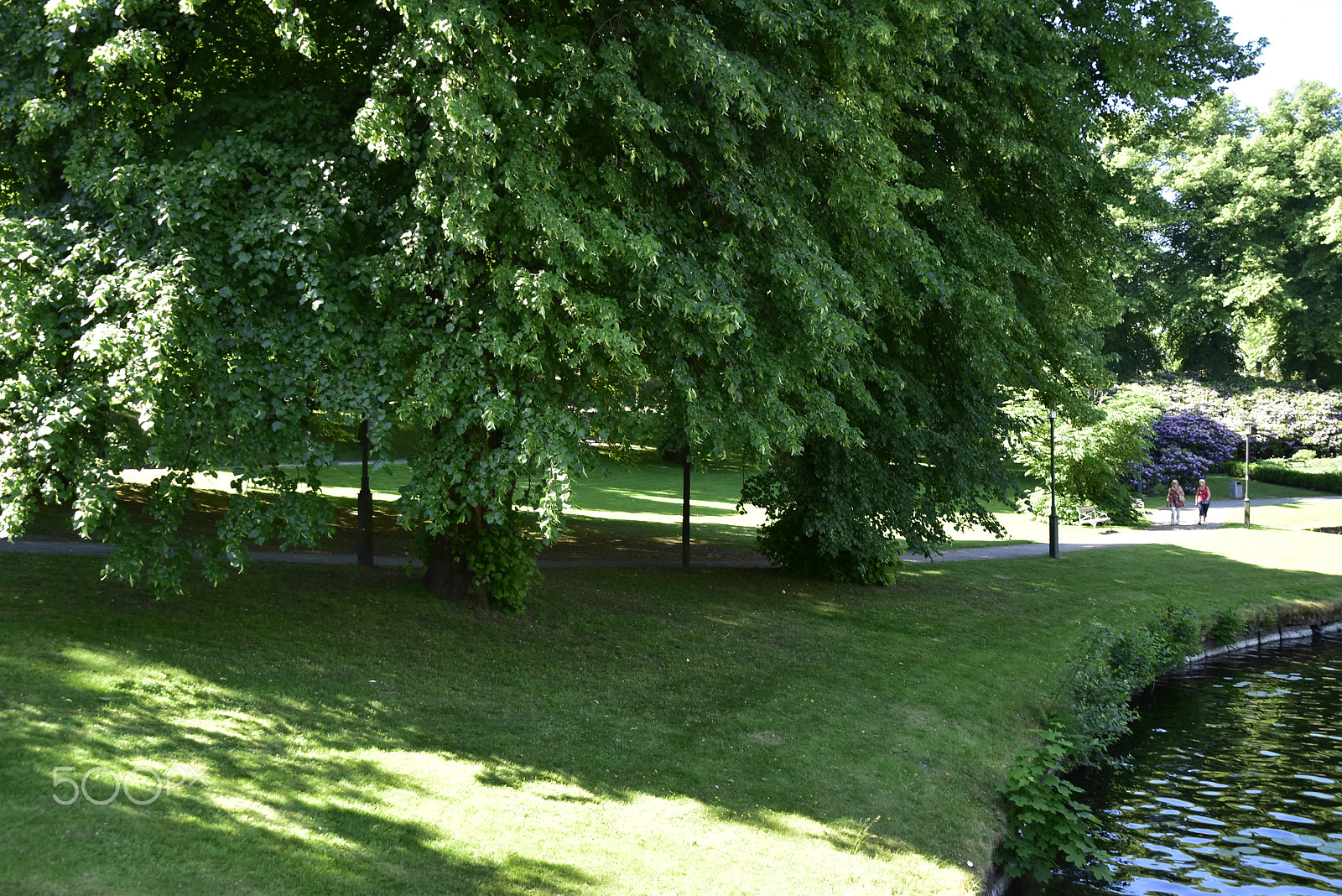 Nikon D5500 sample photo. Stadsparken_12 photography
