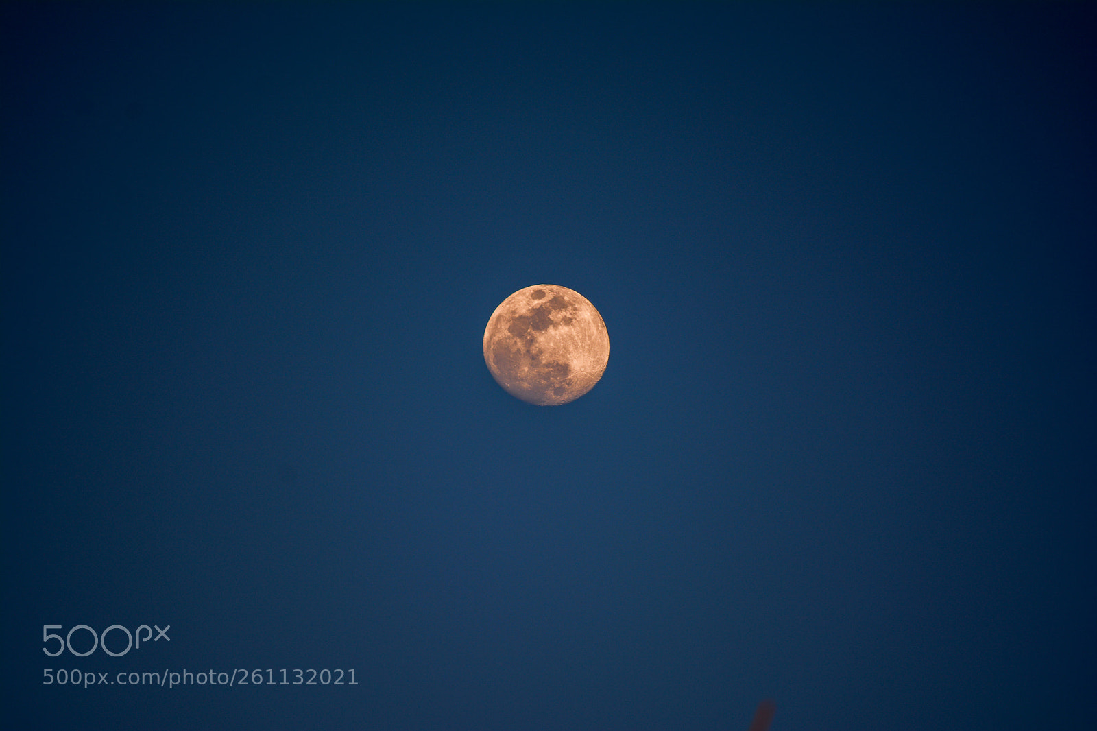 Nikon D7100 sample photo. Luna photography