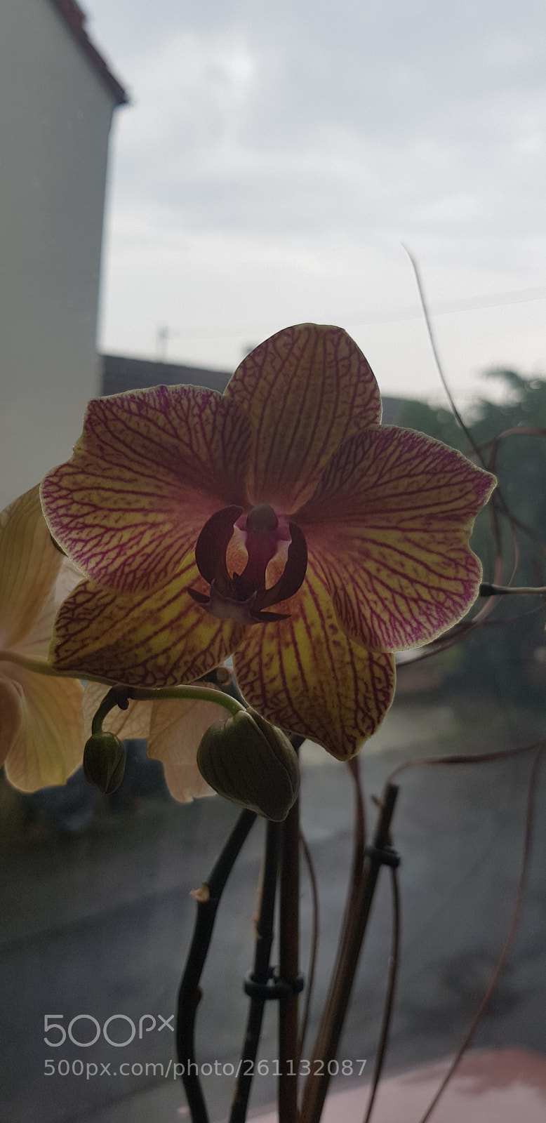 Samsung Galaxy S8 sample photo. Untitled photography