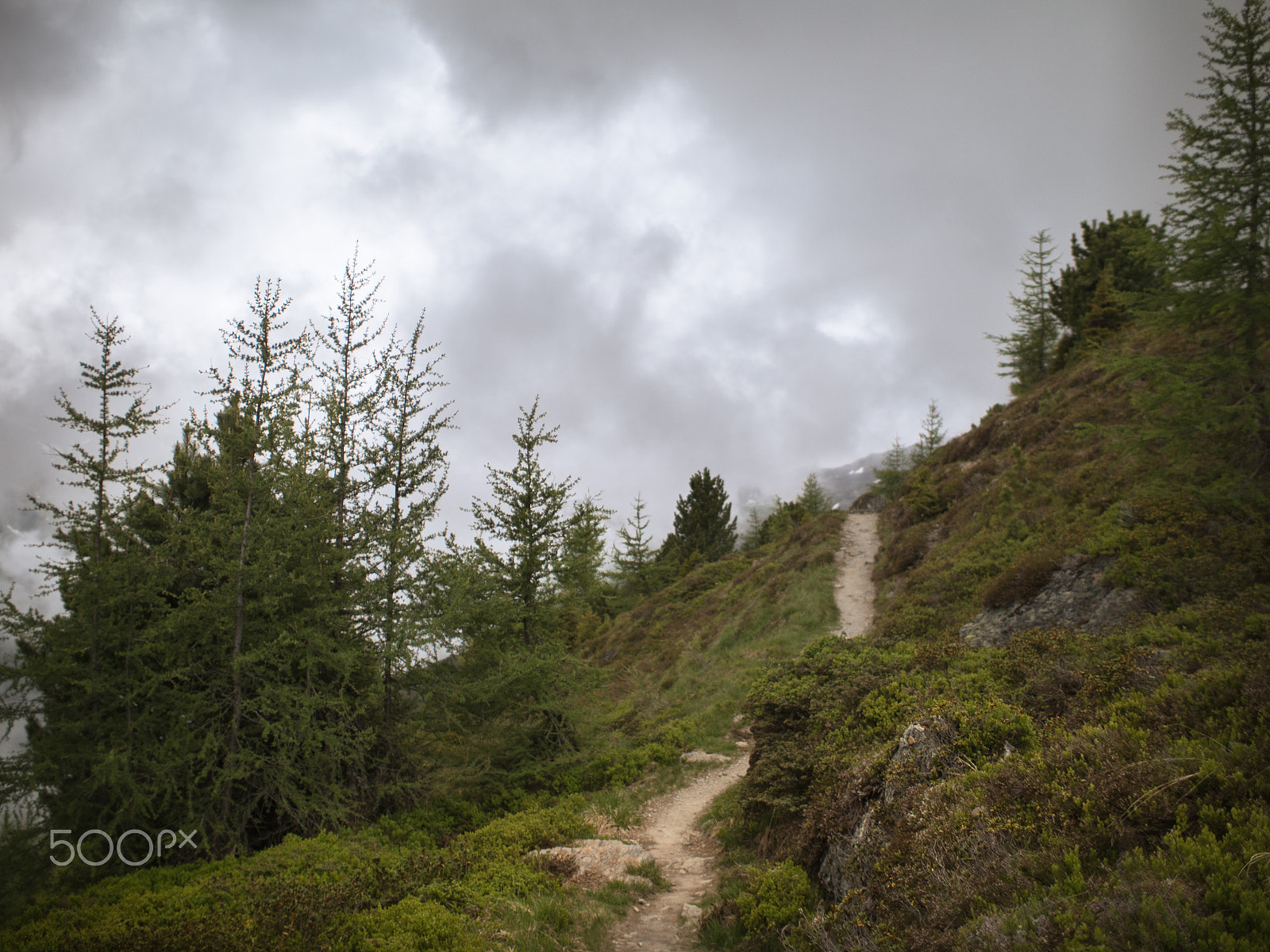 Olympus PEN-F sample photo. Mountain trail photography