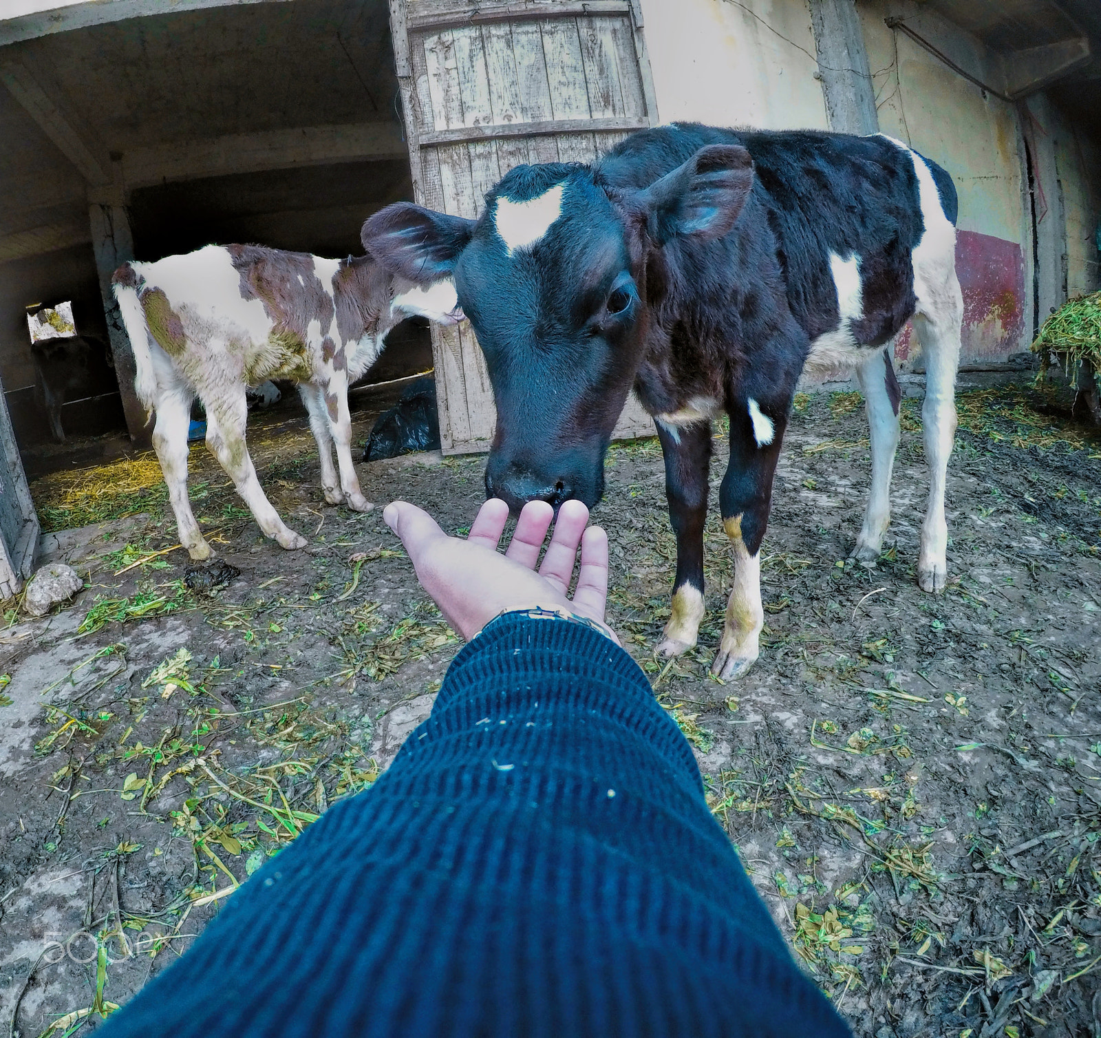 GoPro Hero5 Black sample photo. My child <3 photography