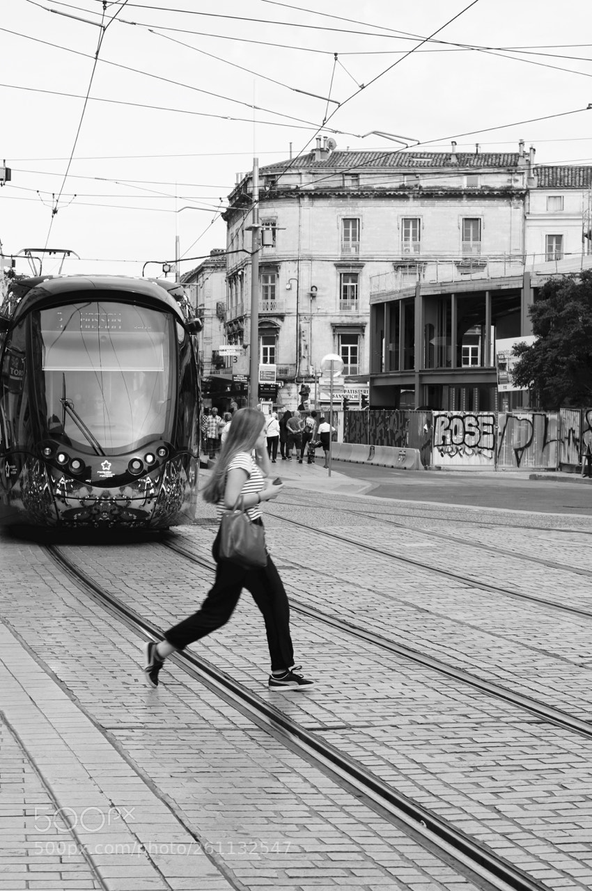 Canon EOS 750D (EOS Rebel T6i / EOS Kiss X8i) sample photo. French crossing photography