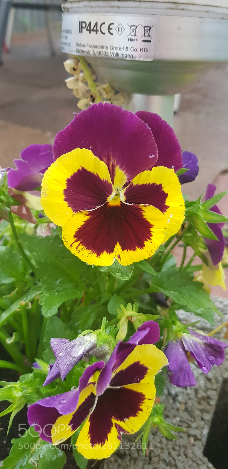 Samsung Galaxy S8 sample photo. Untitled photography