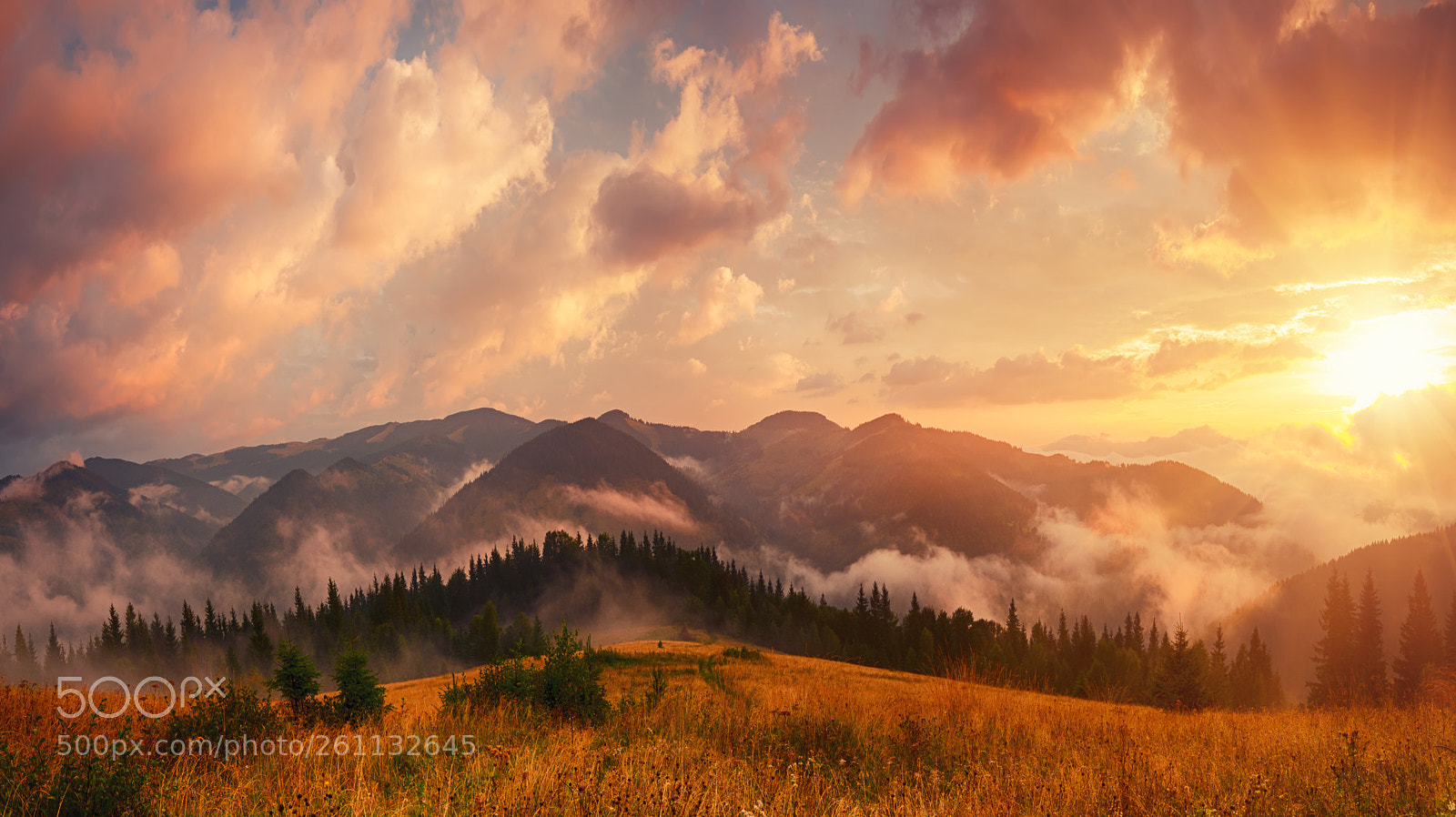 Nikon D7000 sample photo. Foggy morning landscape photography