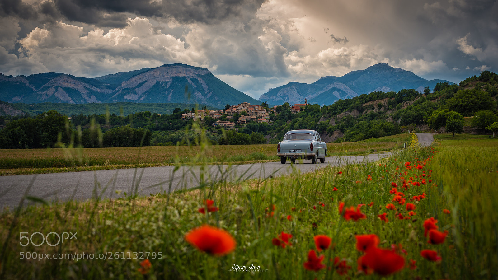 Nikon D750 sample photo. I drive my way photography