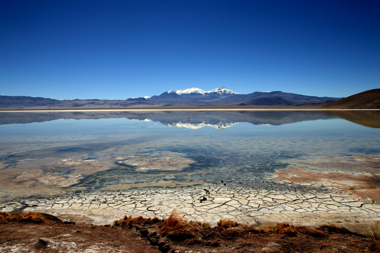 Canon EF-S 17-55mm F2.8 IS USM sample photo. Laguna santa rosa, atacama, chile photography