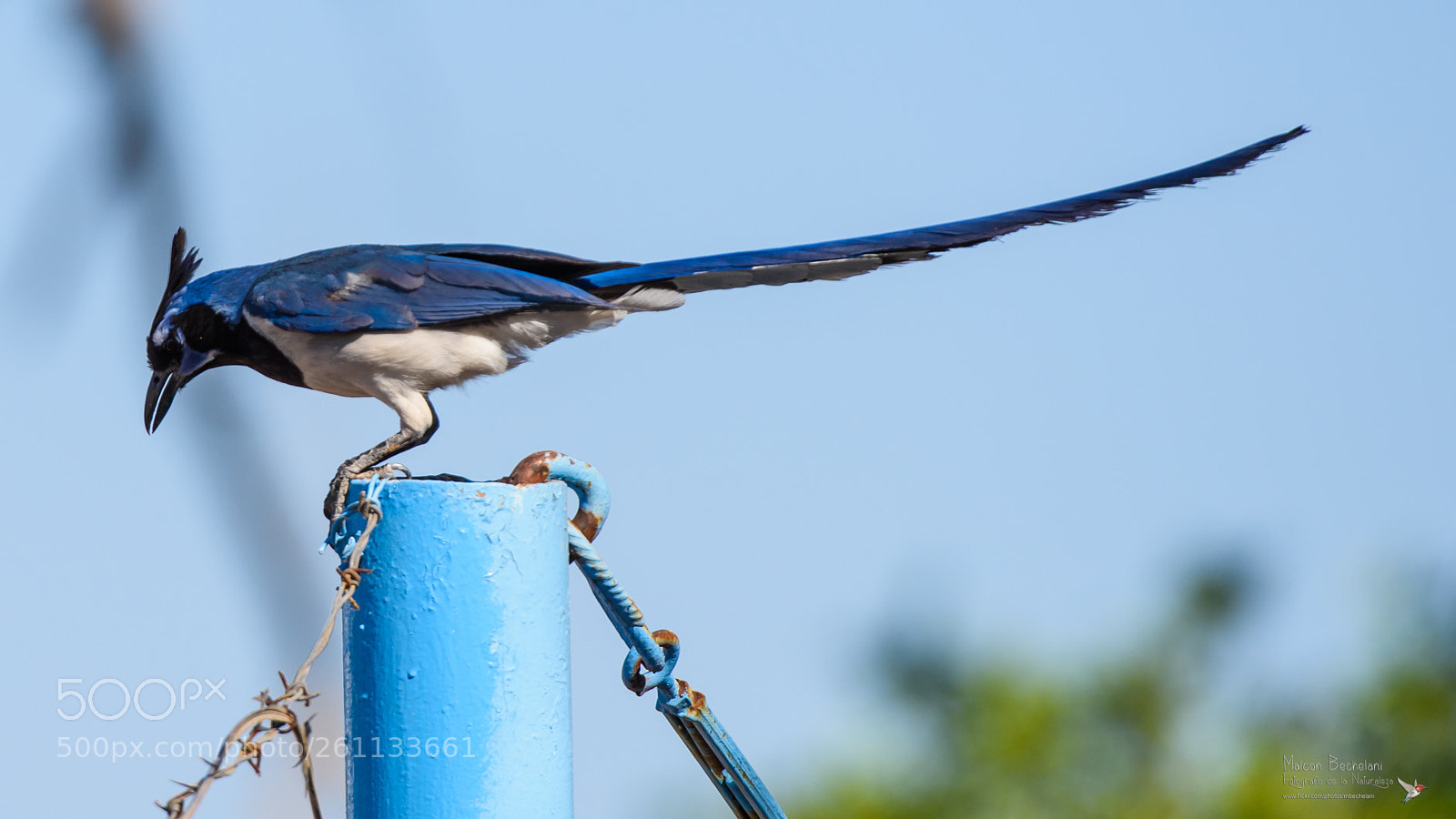 Nikon D810 sample photo. Mbs photography