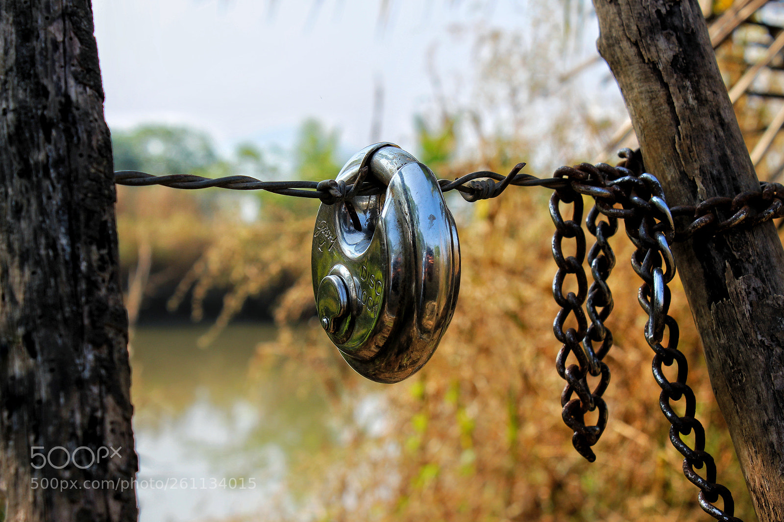 Canon EOS 700D (EOS Rebel T5i / EOS Kiss X7i) sample photo. Looking for key photography