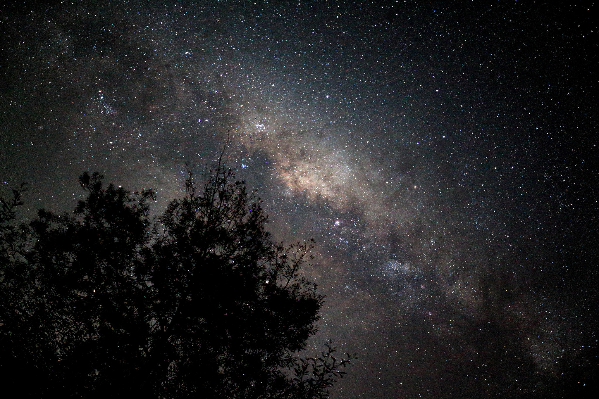 Canon EOS 650D (EOS Rebel T4i / EOS Kiss X6i) sample photo. Night sky, southern chile photography