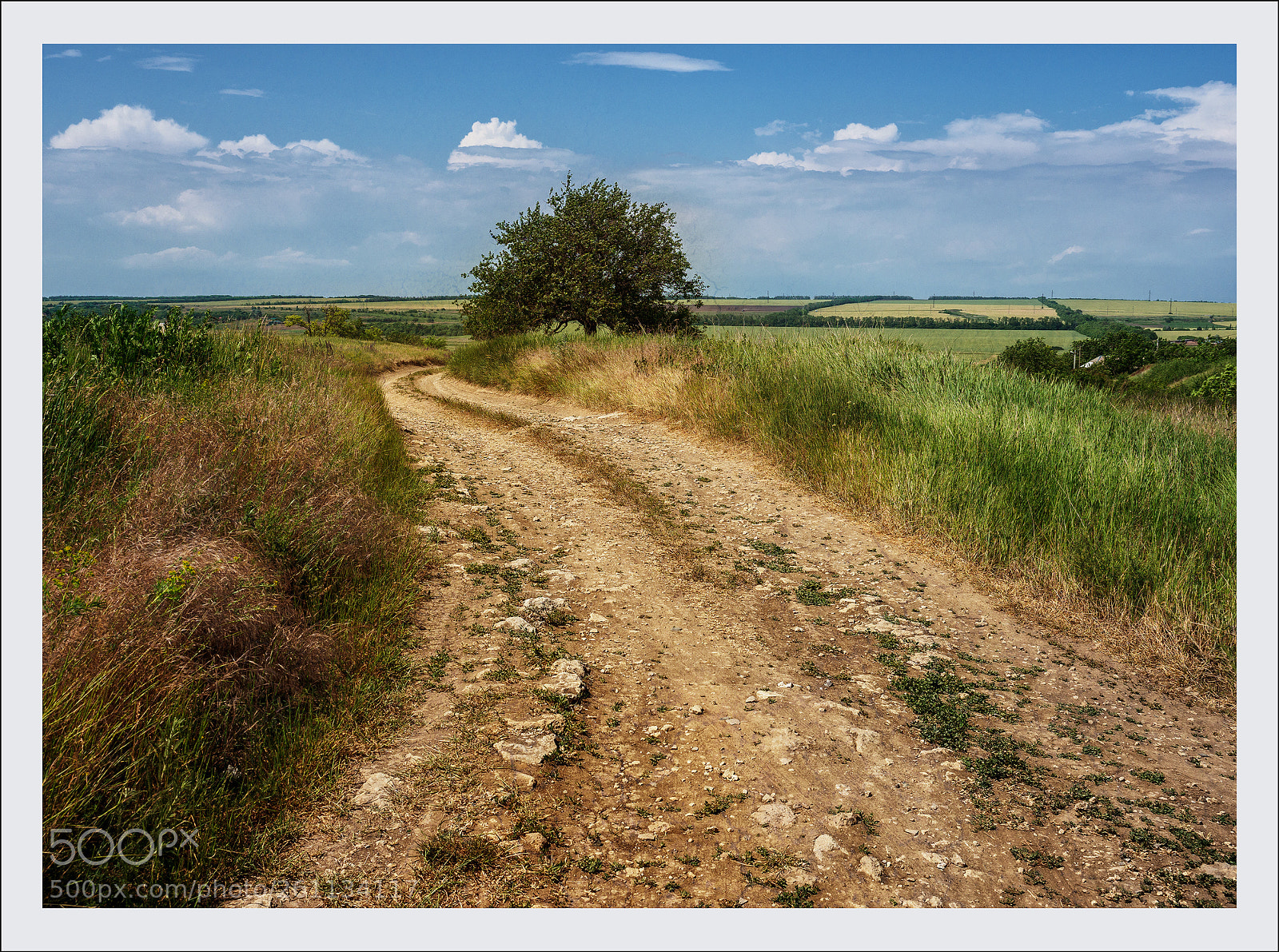Olympus OM-D E-M1 Mark II sample photo. Берега Таганрога photography