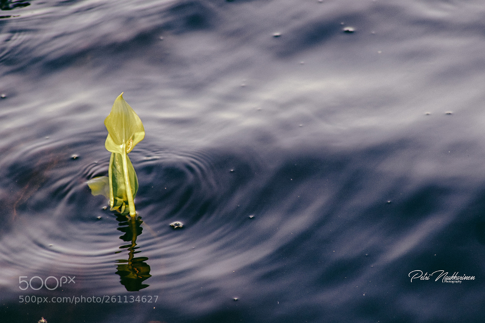 Canon EOS 7D Mark II sample photo. Ripple photography