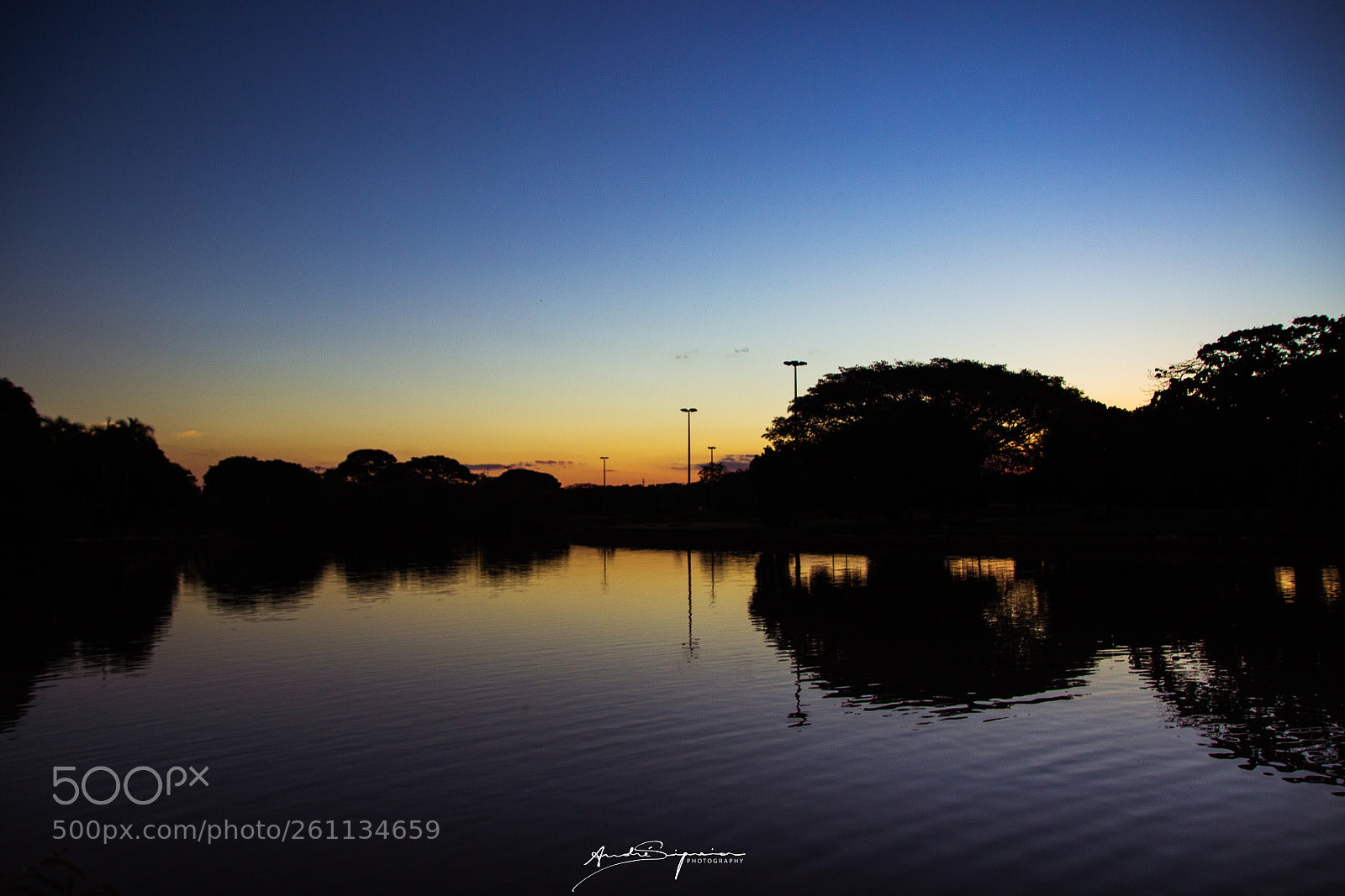 Canon EOS 600D (Rebel EOS T3i / EOS Kiss X5) sample photo. Parque da cidade photography