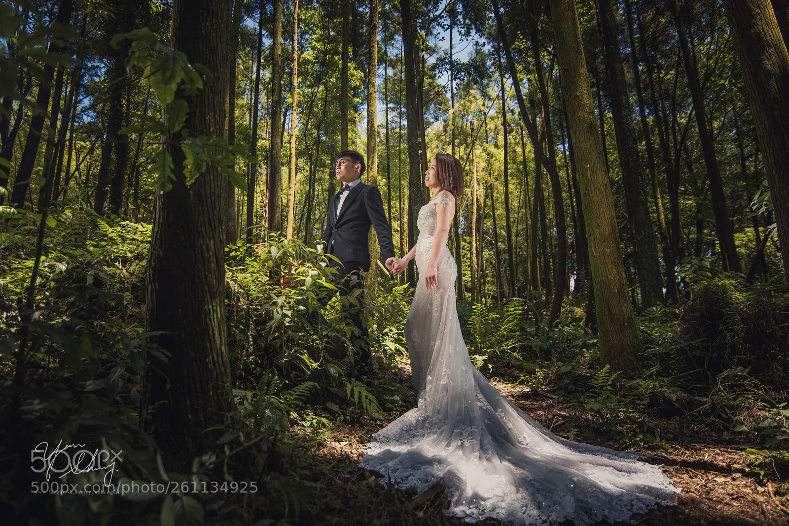 Nikon D810 sample photo. Let me take you photography